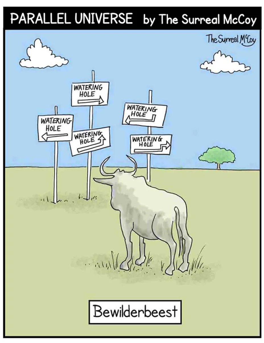 Bewilderbeest_THE_SURREAL_MCCOY.jpg