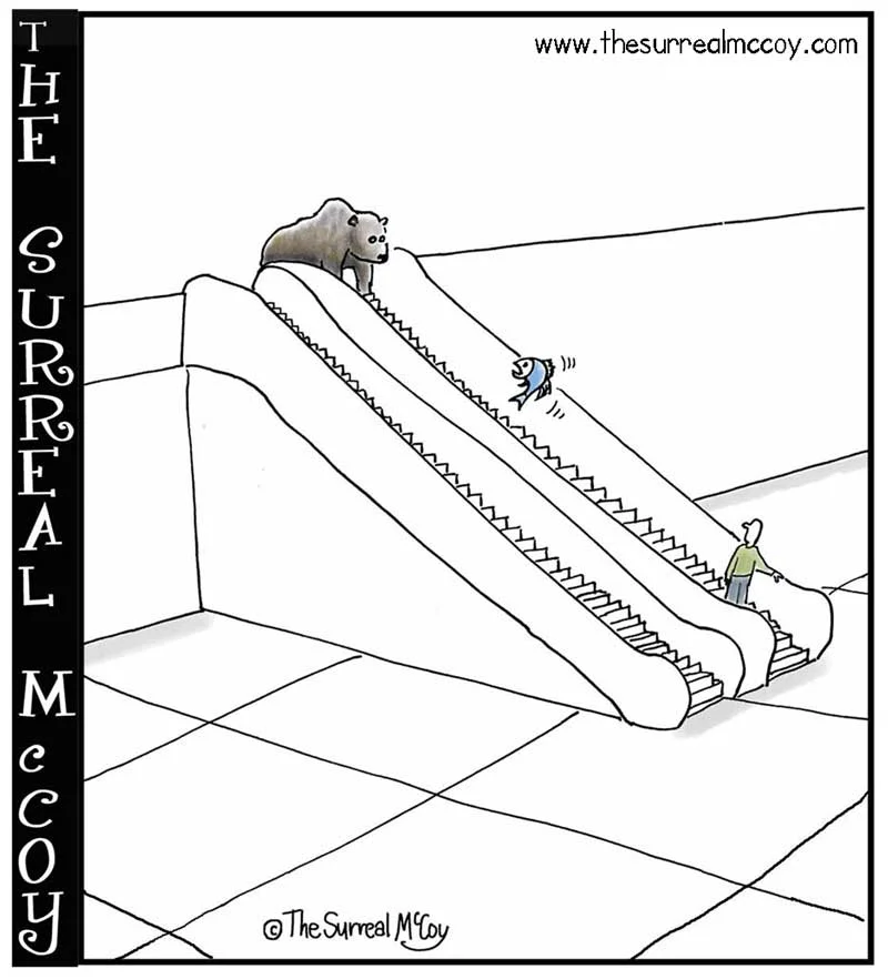 Bear_Escalator_THE_SURREAL_MCCOY.jpg