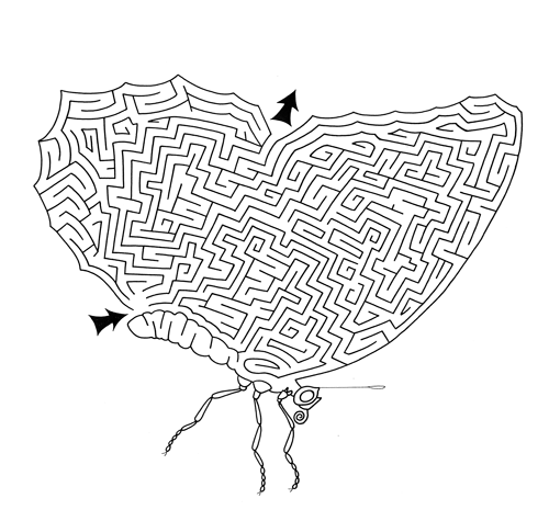 cw_088.png