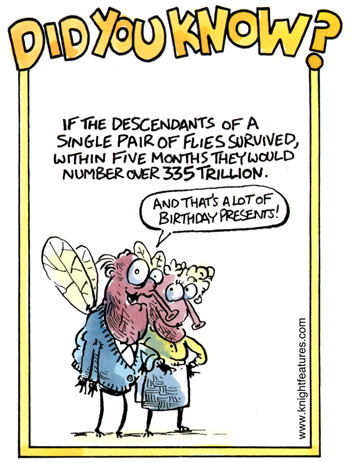 DYK-132.png