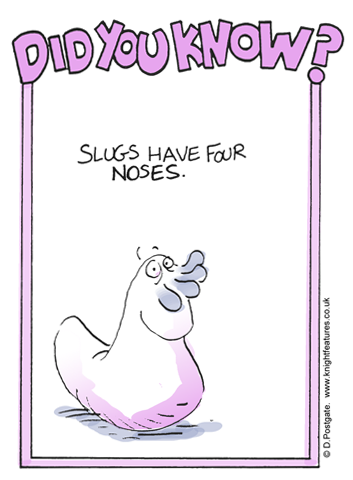 DYK-197.png