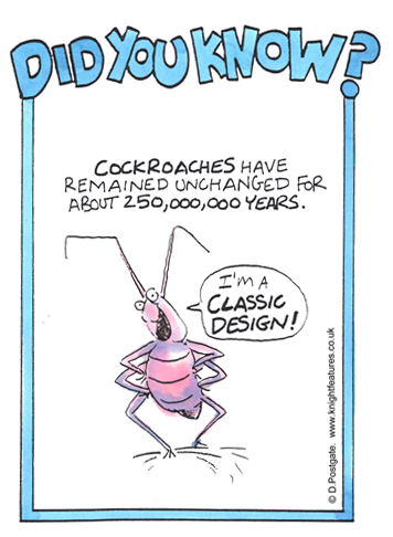 DYK-234.png