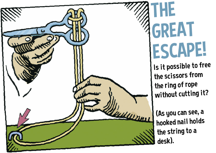 Knots.png