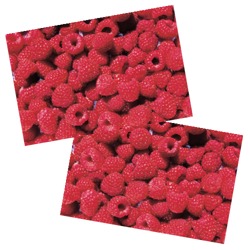 From the Spot The Differences Series