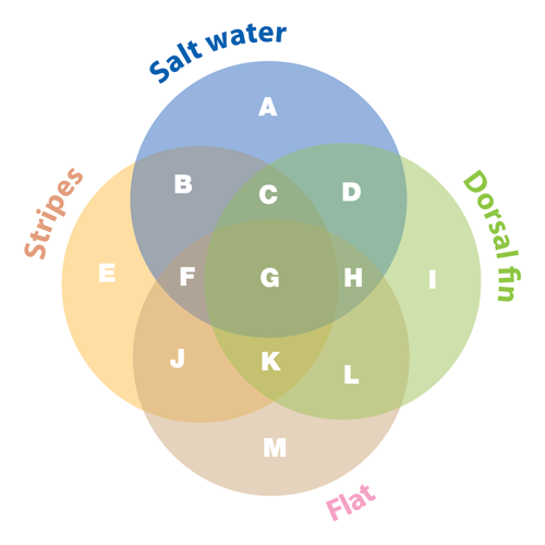 Venn Diagram