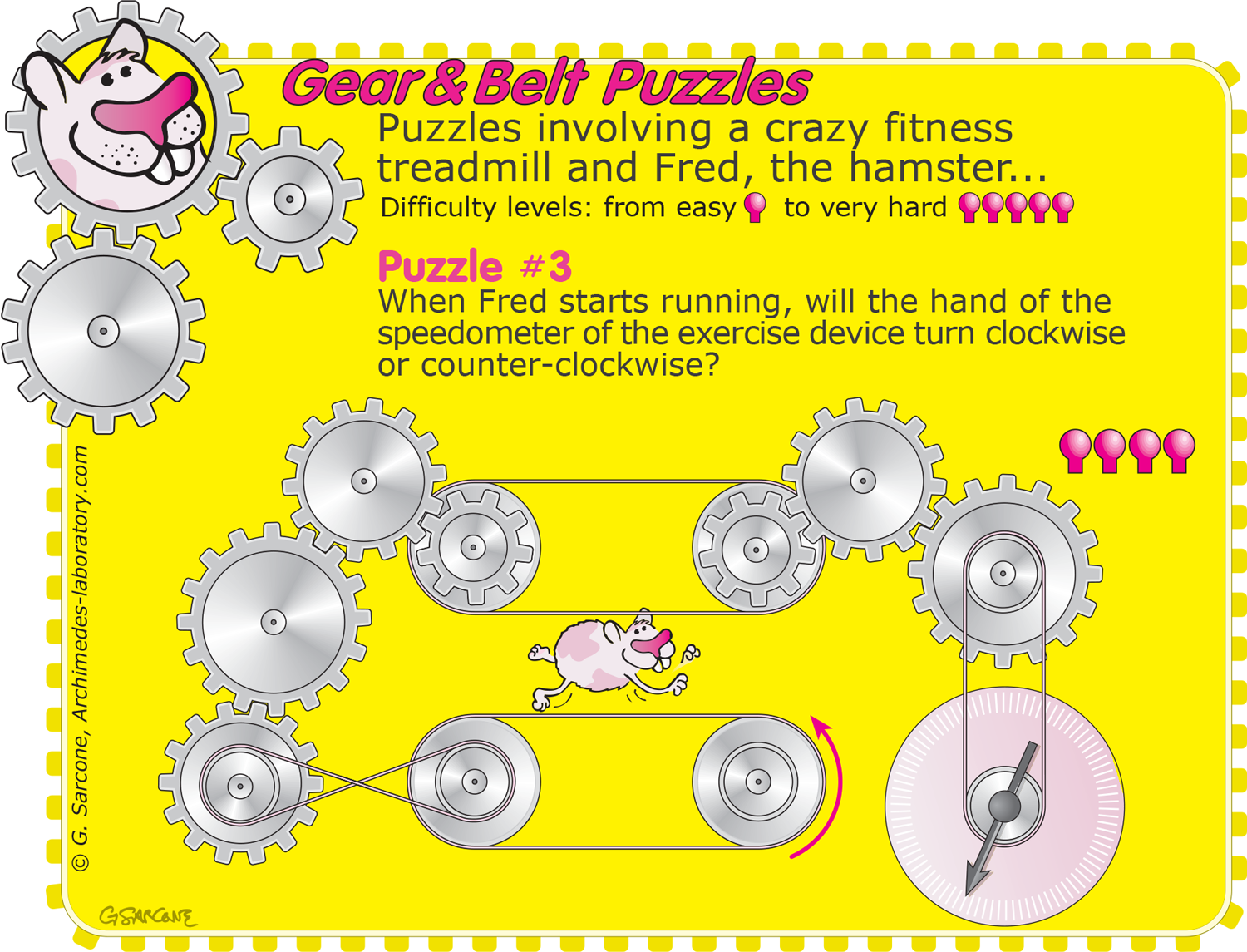 Gear and belt puzzles