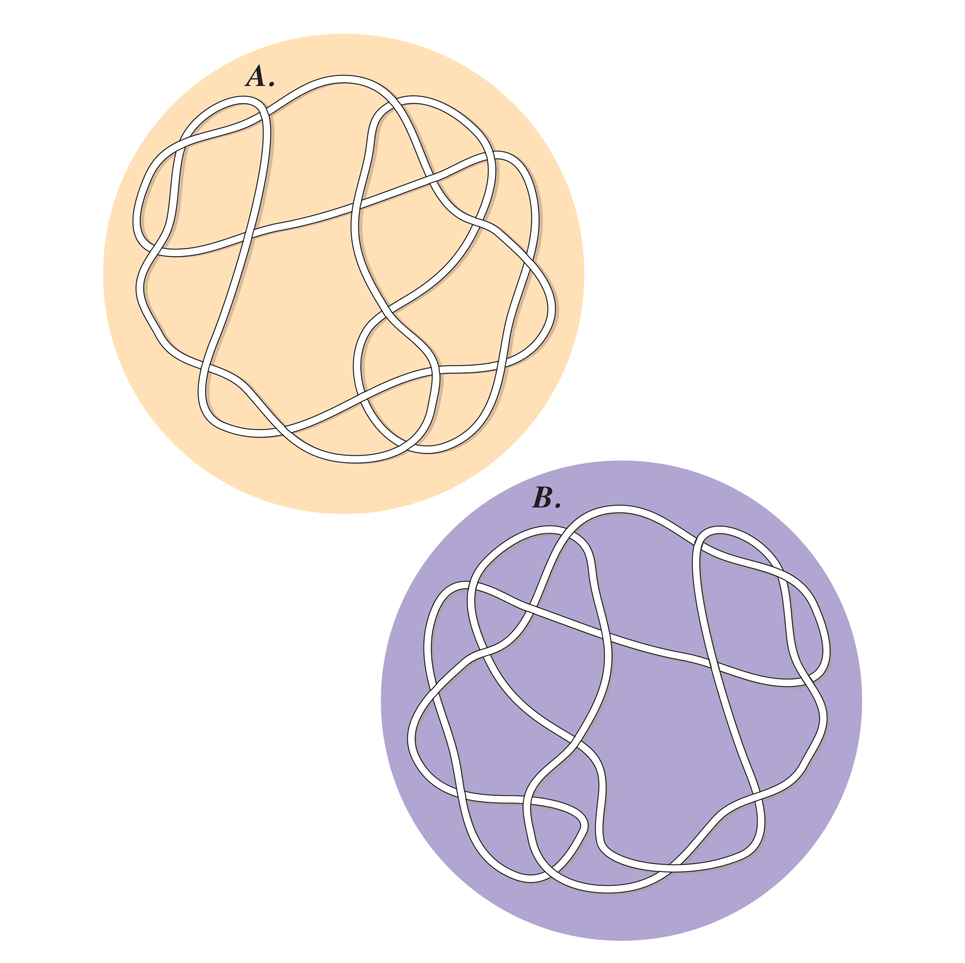 String & Knot Puzzle 001
