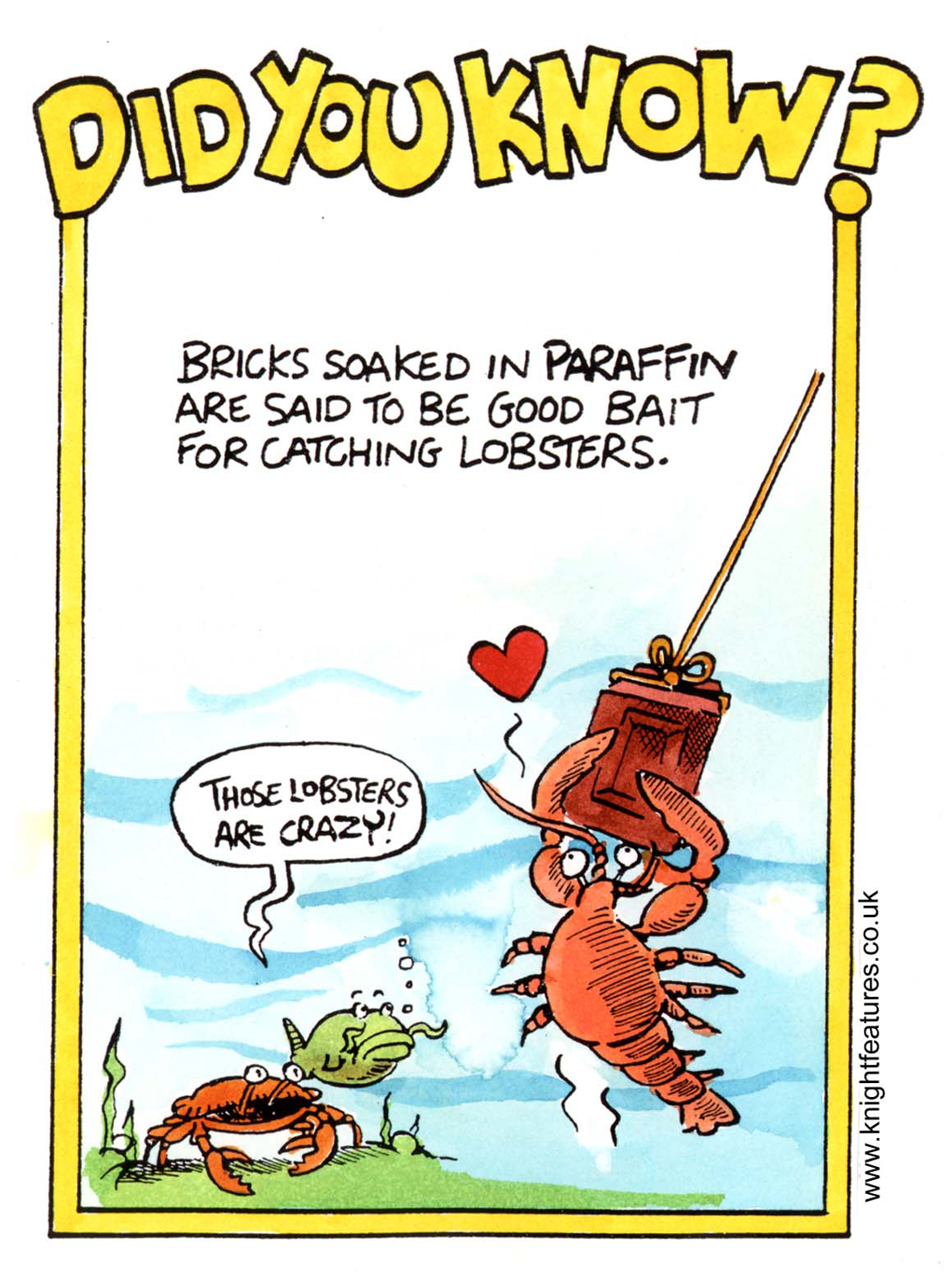DYK-021.png