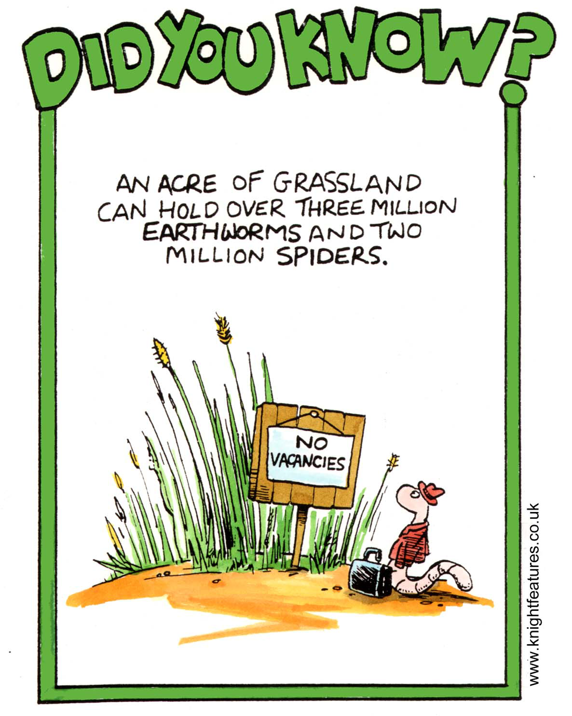 DYK-024.png