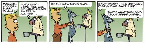 hoop0005.png
