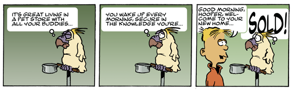 hoop0001.png