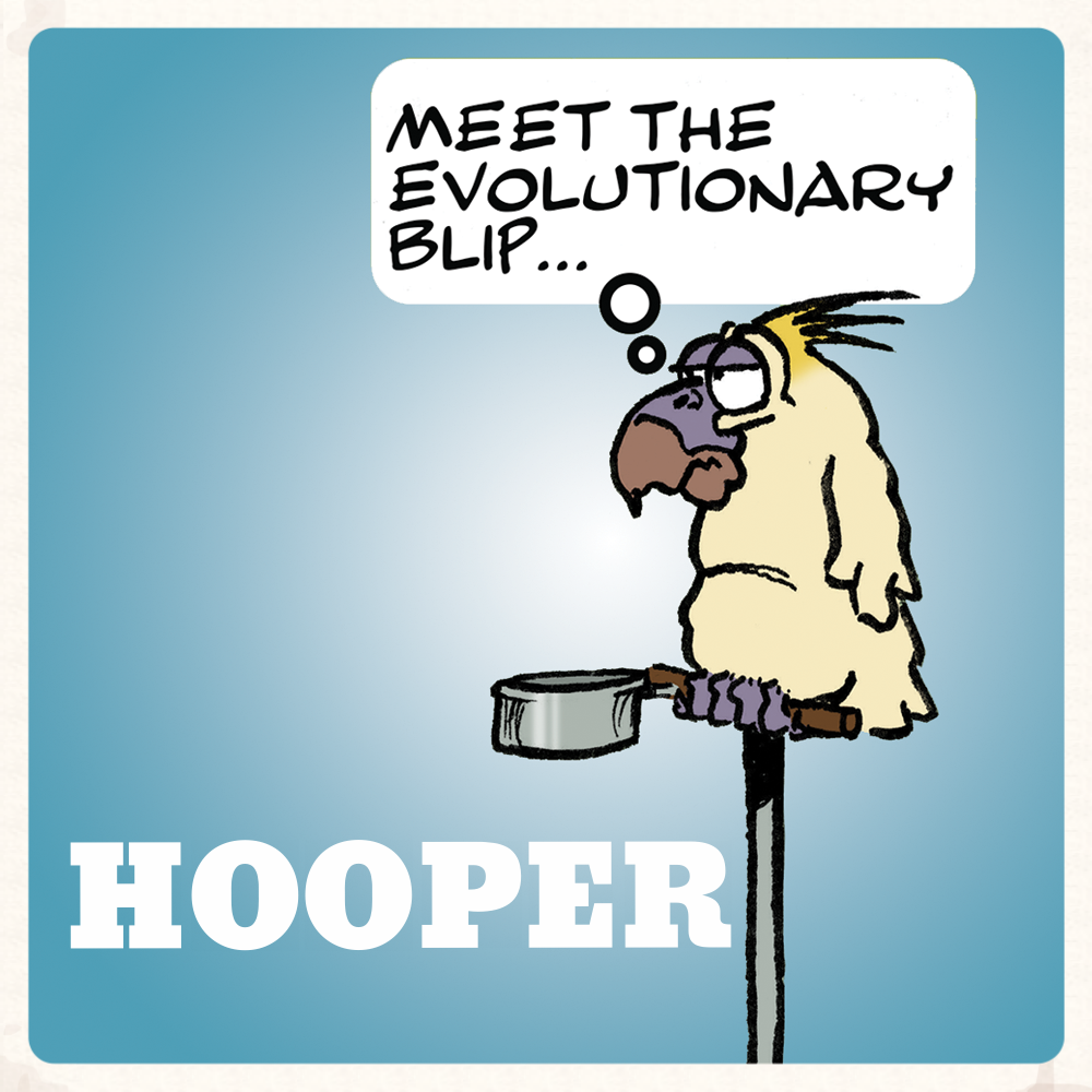 hooper_0010-copy-b.png