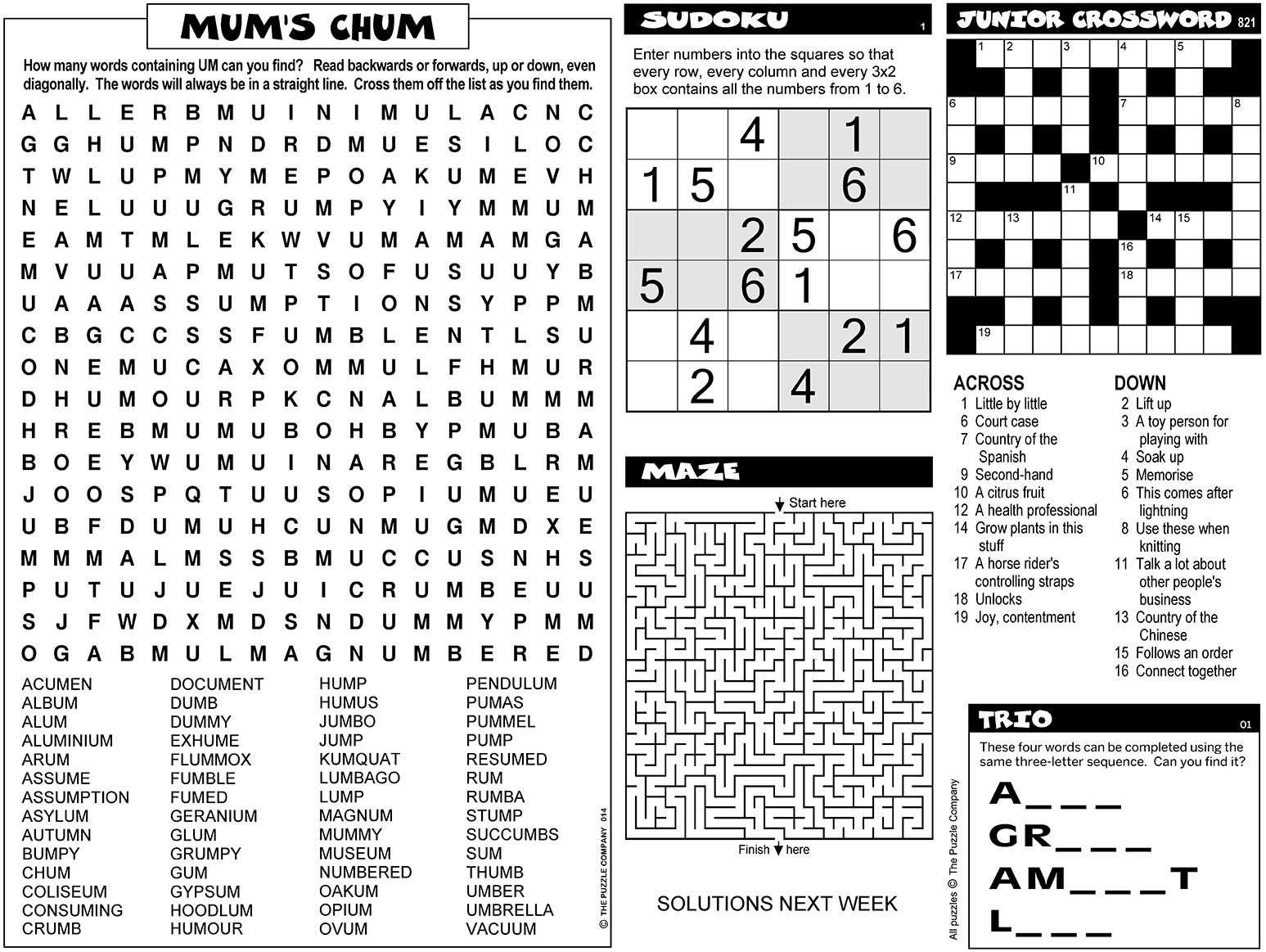 Puzzle Page 