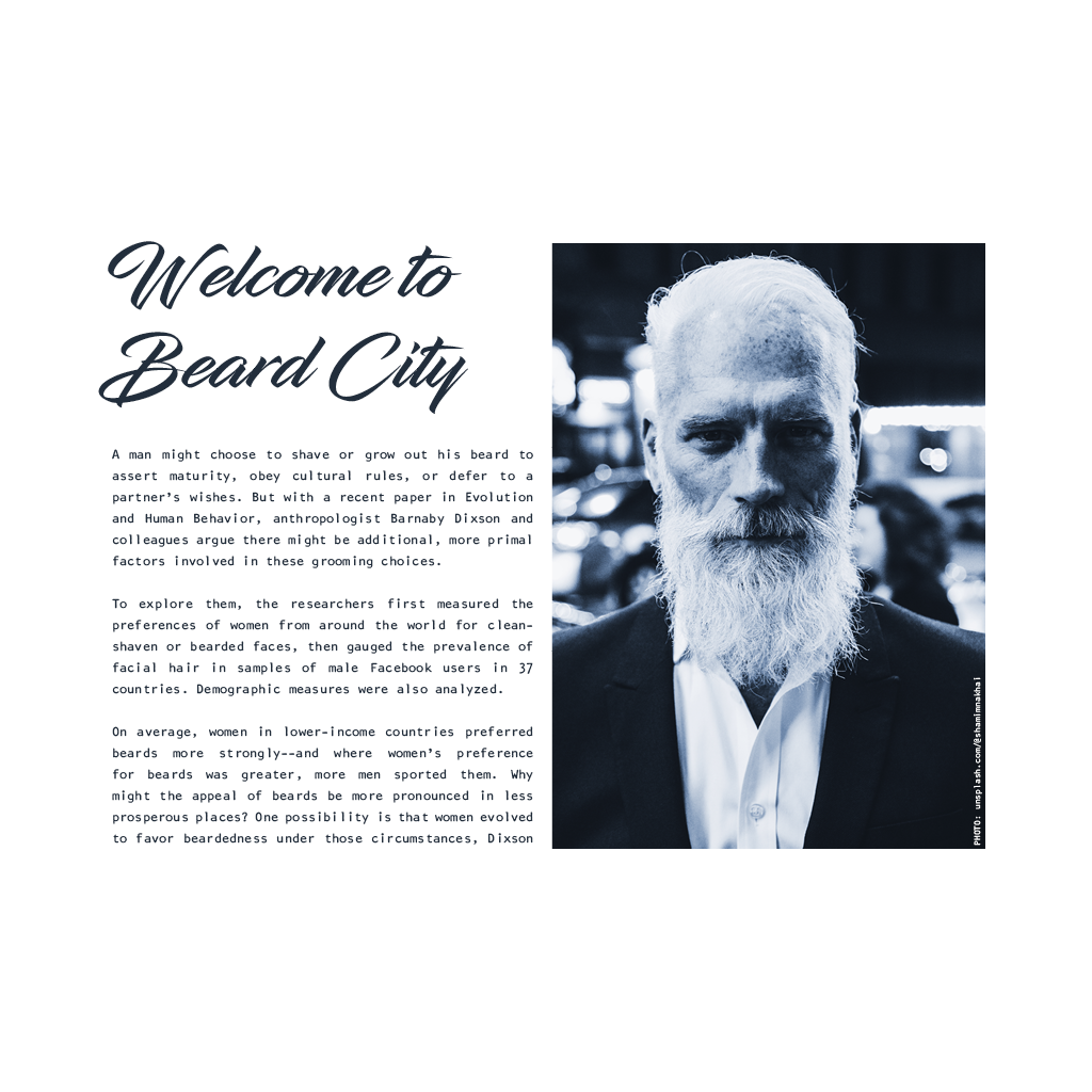 Welcome To Beard City