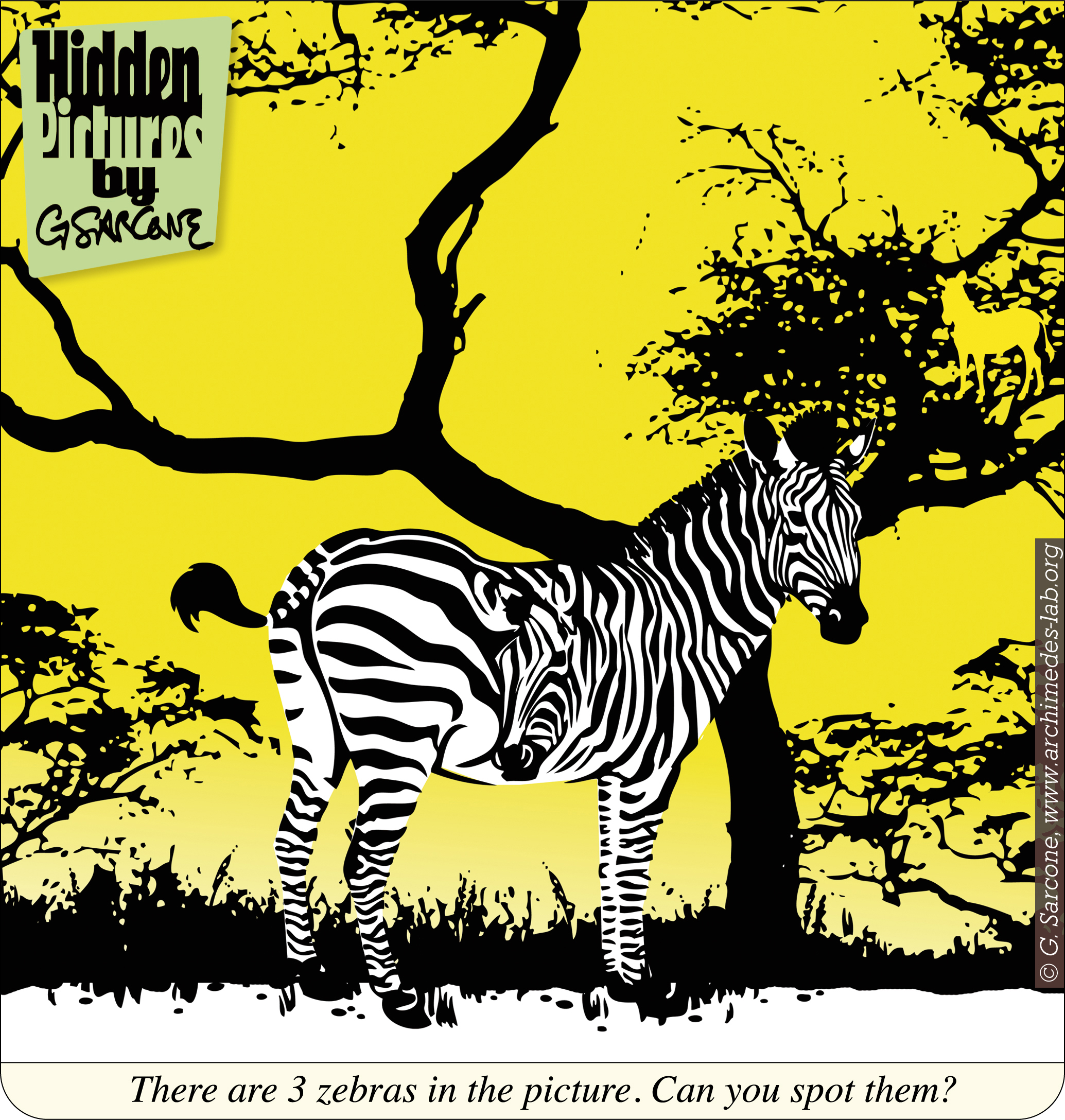 HP6-Zebras.jpg