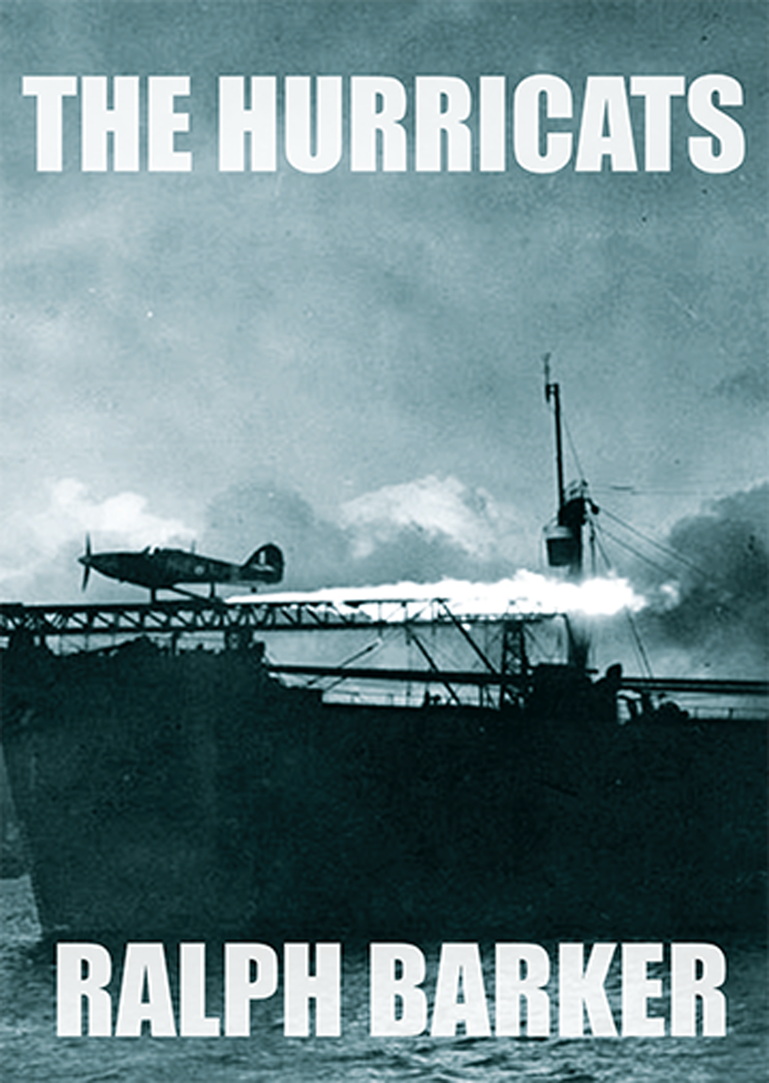 Hurricats-2017_-book-cover.png