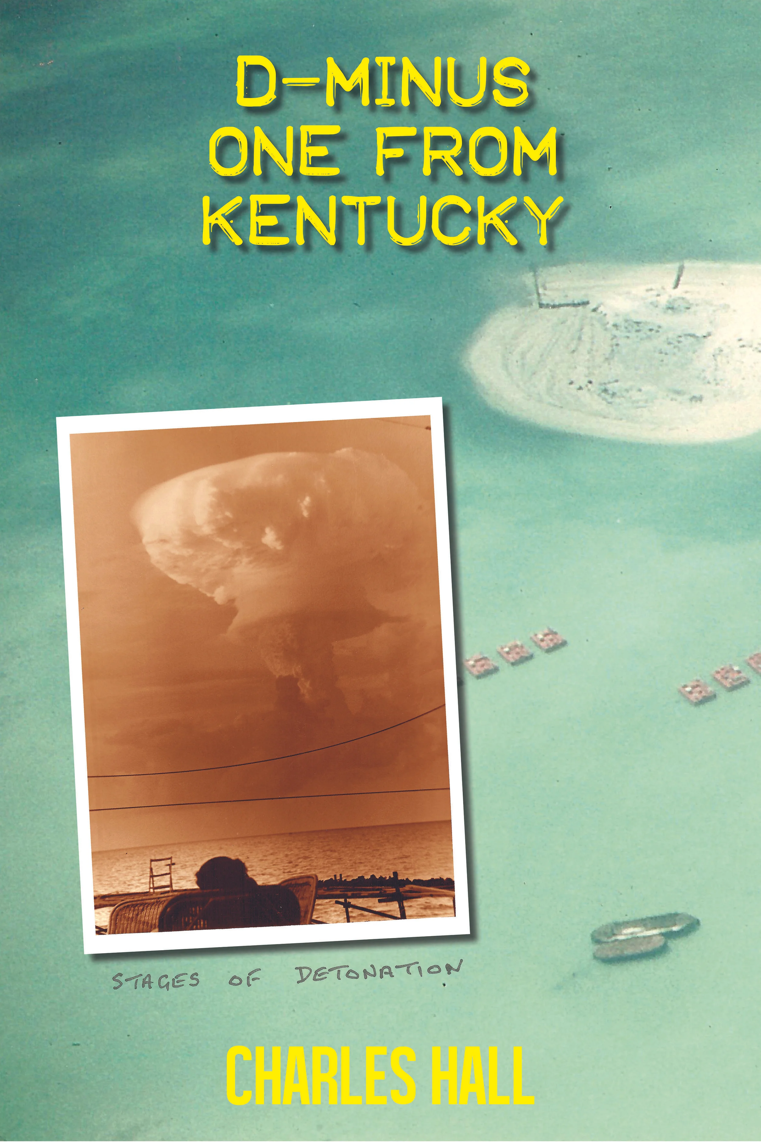 D-Minus Book Cover.jpg