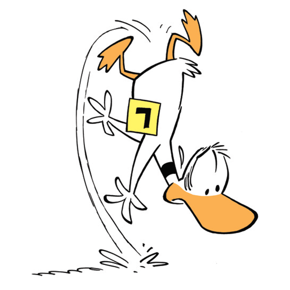 Ding-Duck.png