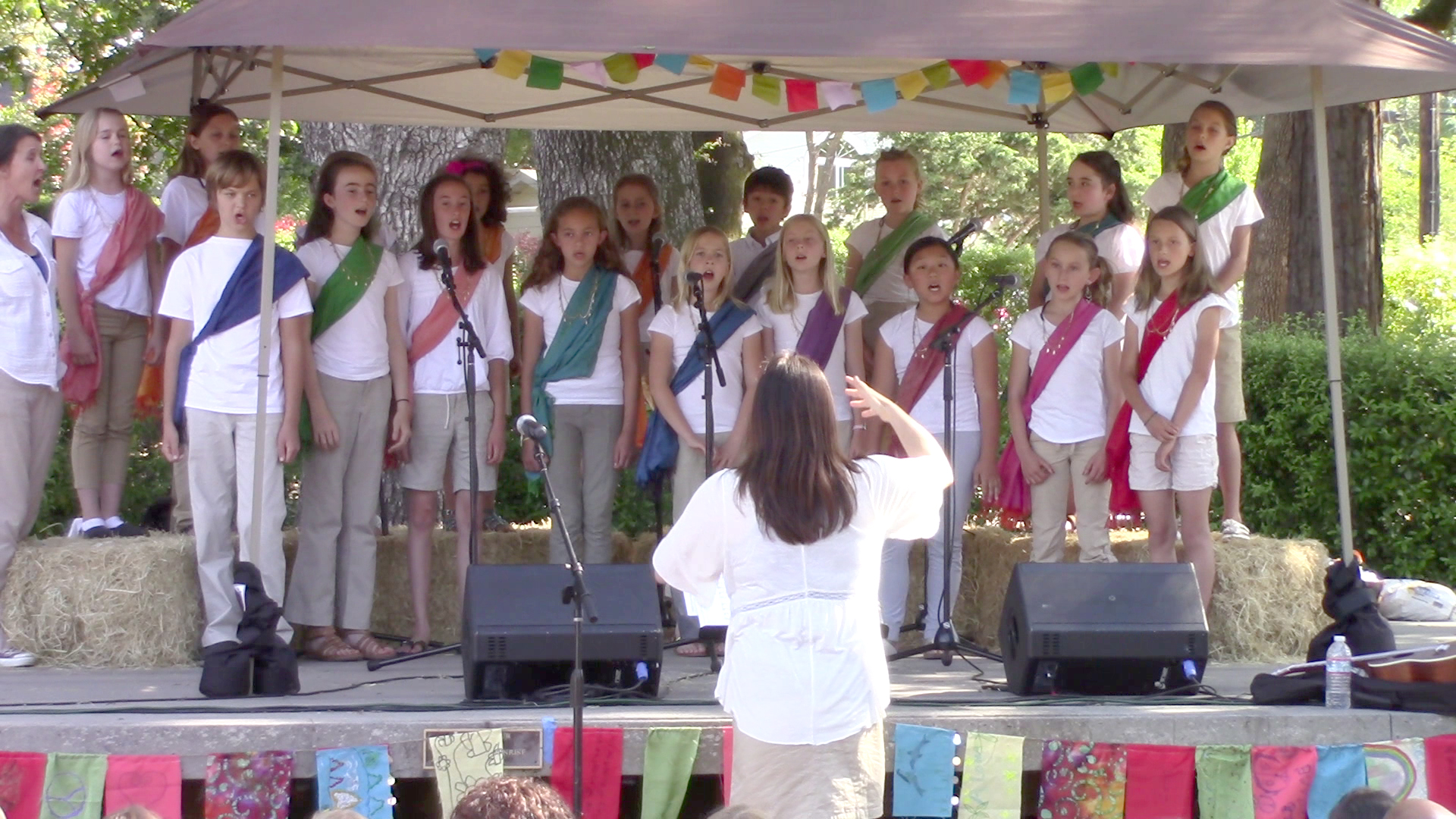 Summerfest 2015 at Ives Park