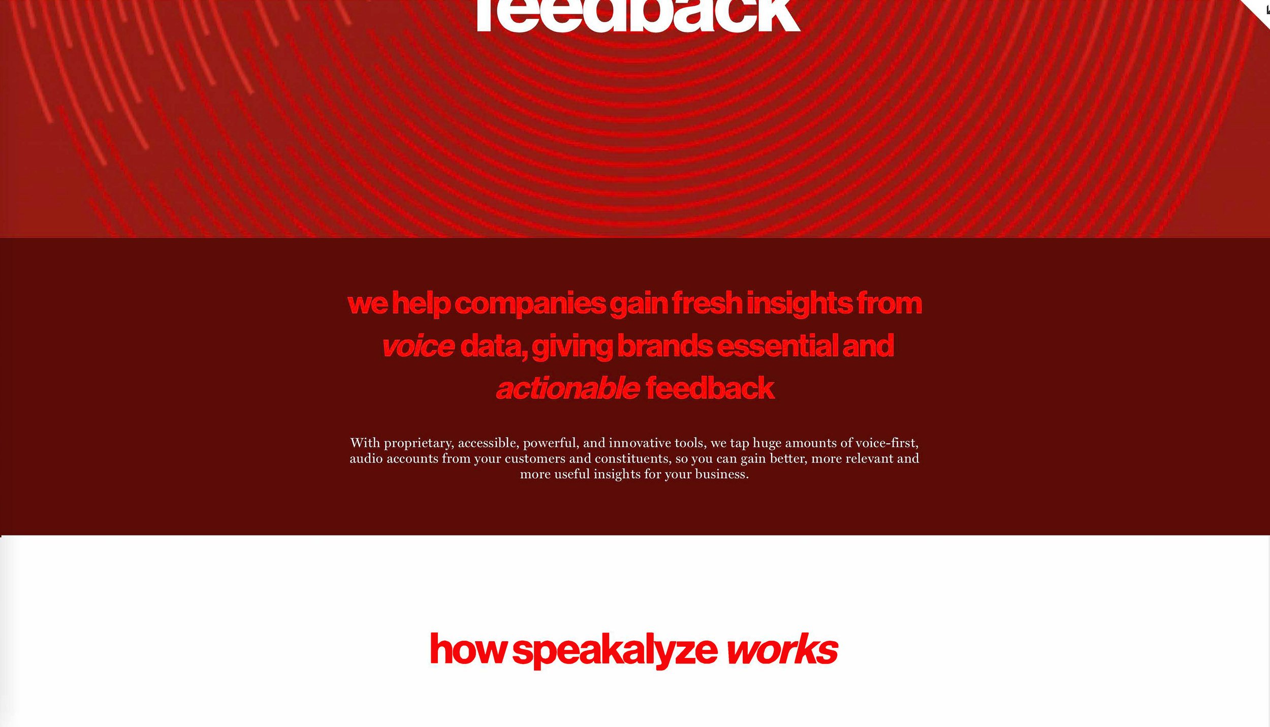 Speakalyze_Page_2.jpg