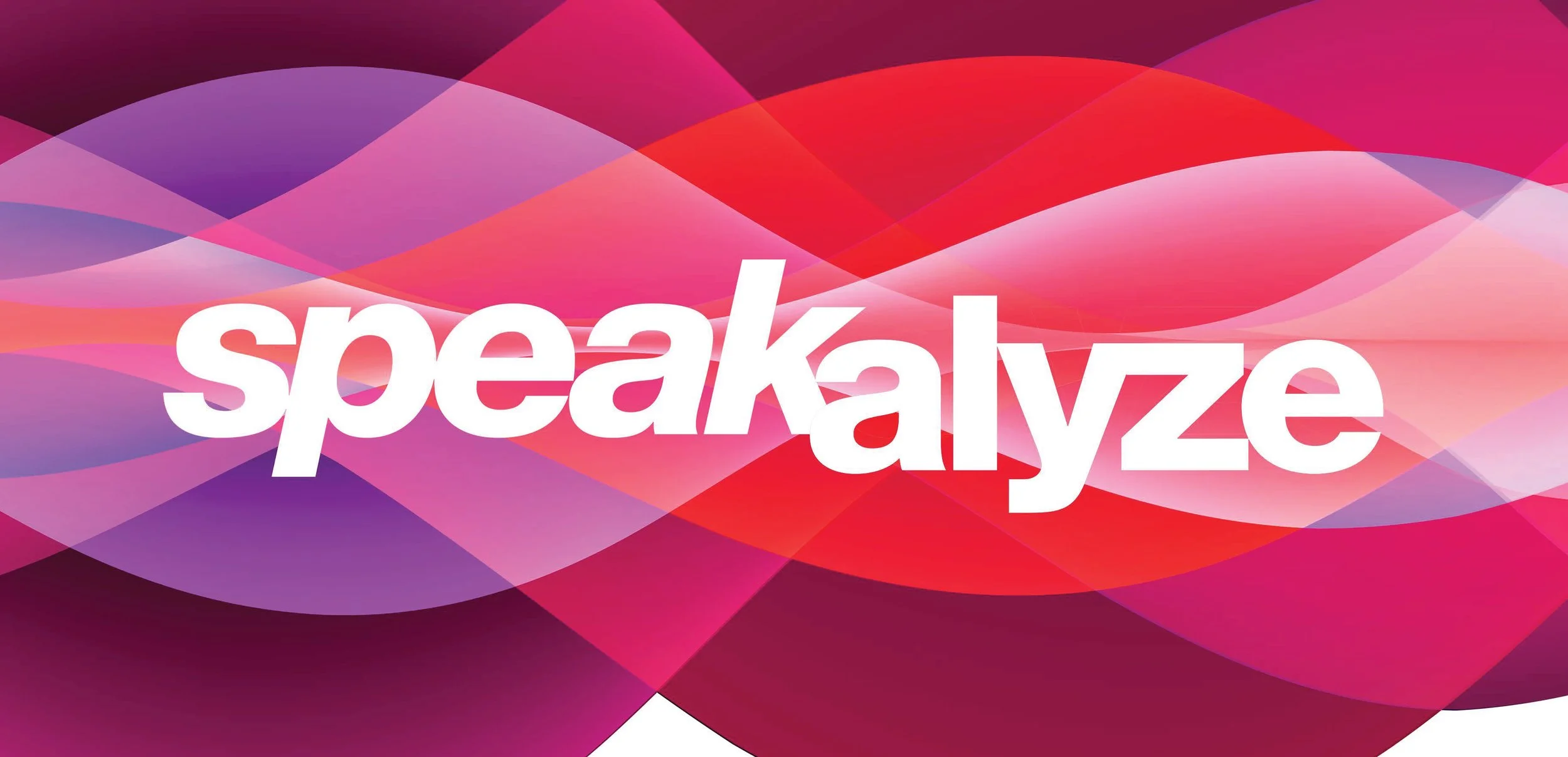 SPEAKALYZE LOGO EXPLORE_Page_03.jpg