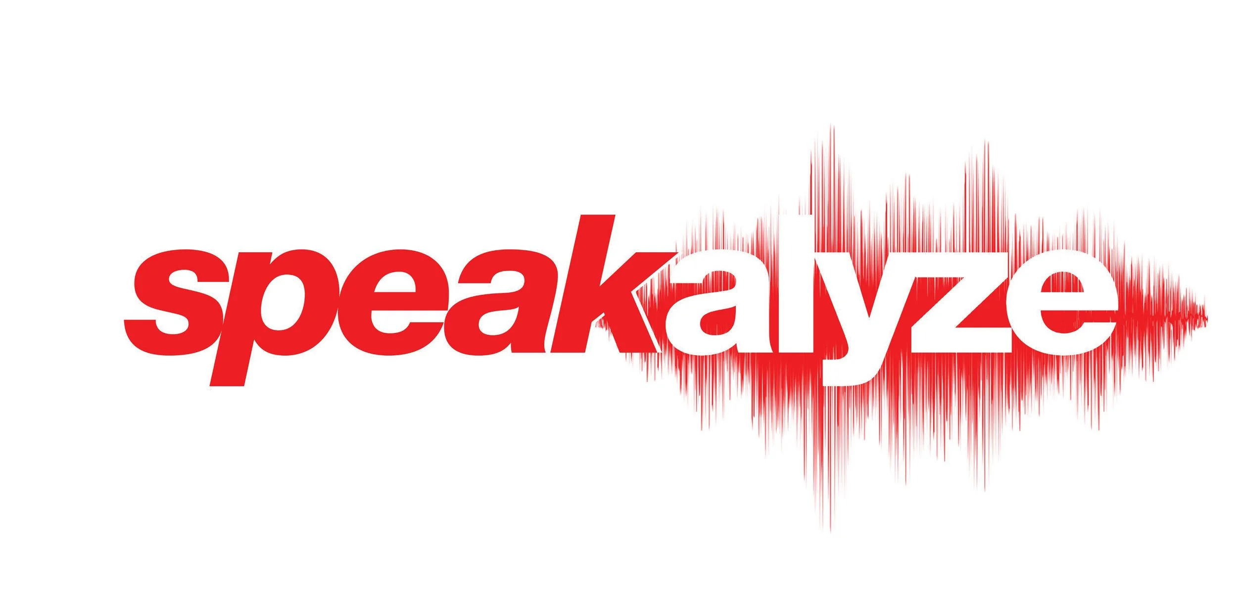 SPEAKALYZE LOGO EXPLORE_Page_11.jpg