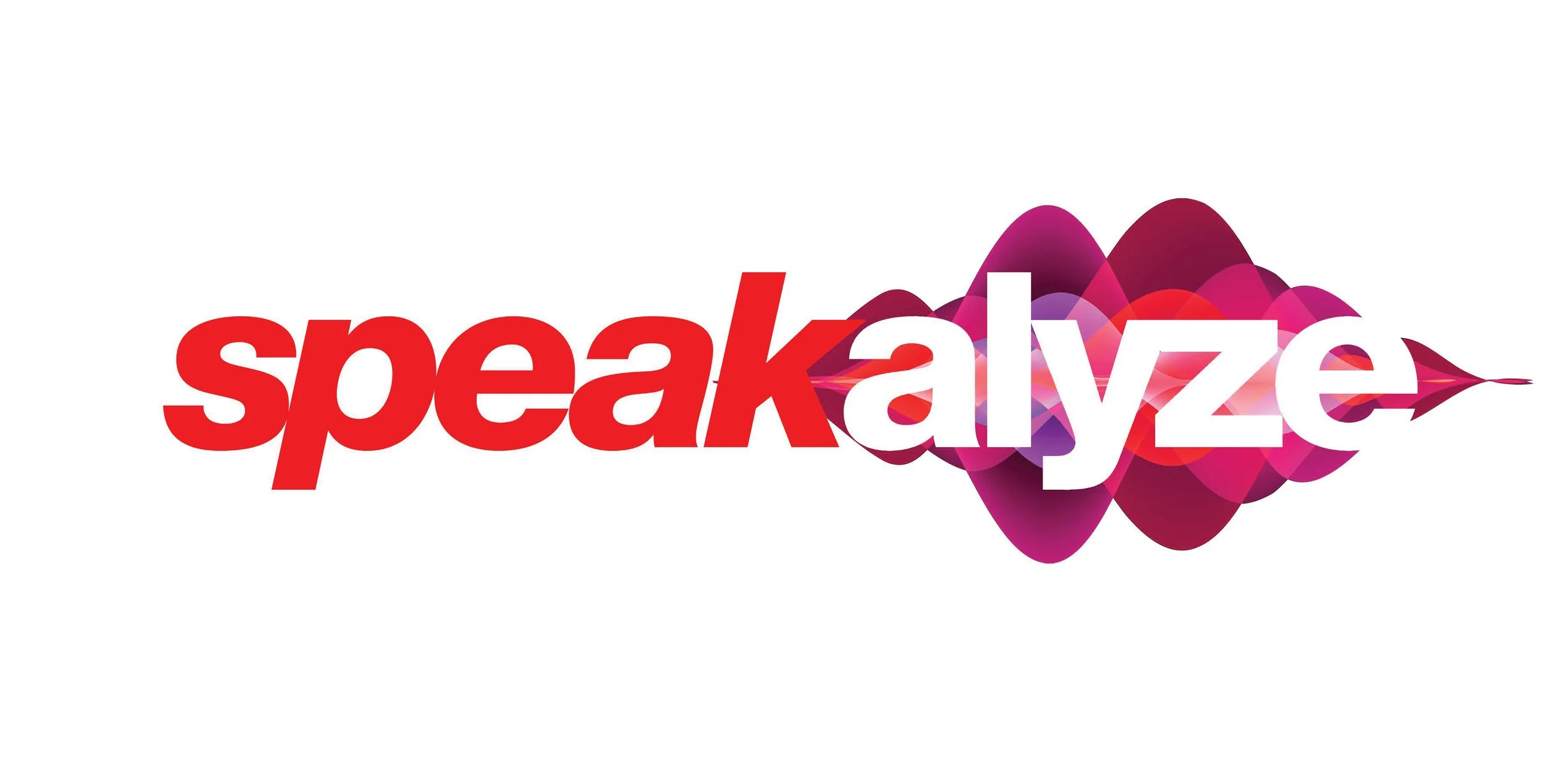 SPEAKALYZE LOGO EXPLORE_Page_18.jpg