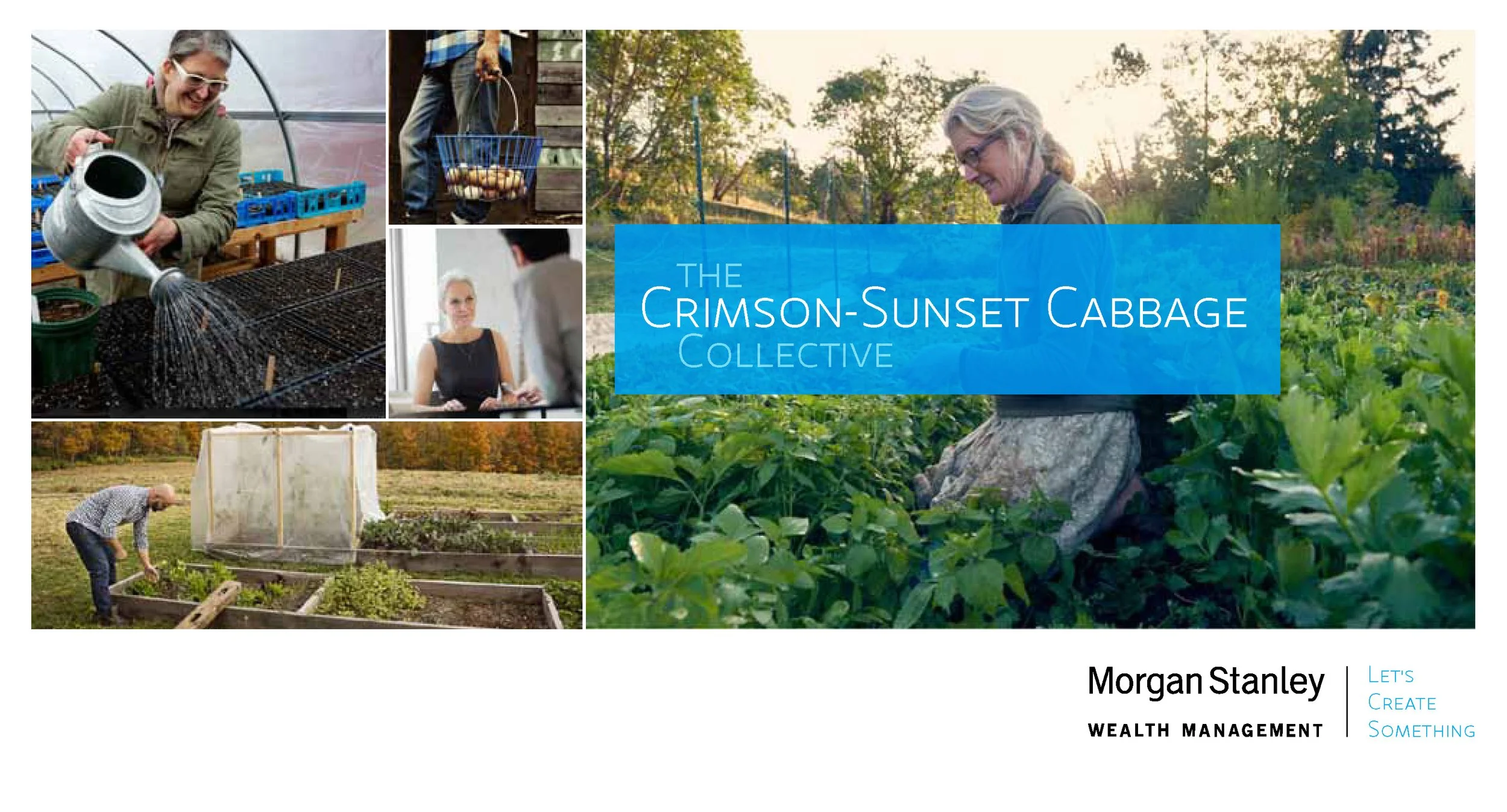 MorganStanley_Master Presentation_110516_Page_6.jpg