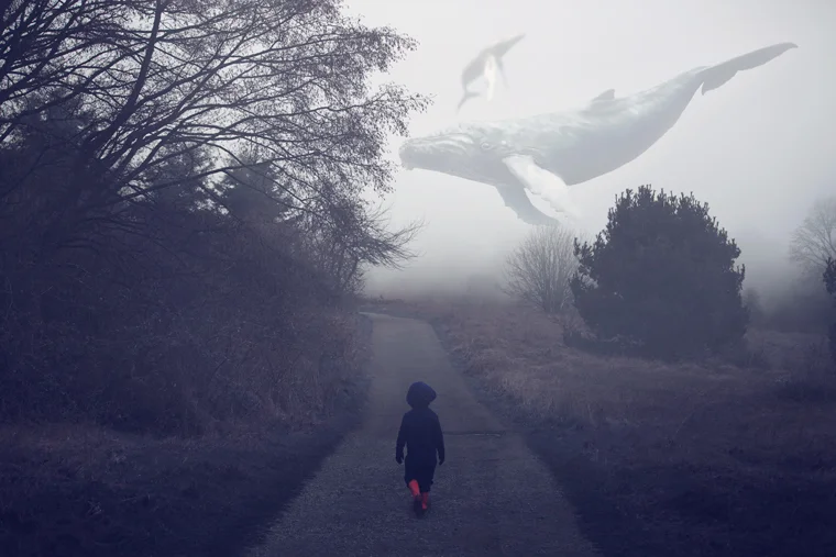 Mystical Whales