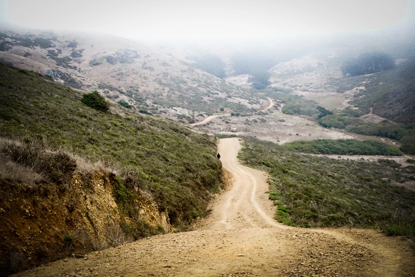 MARIN-7.jpg