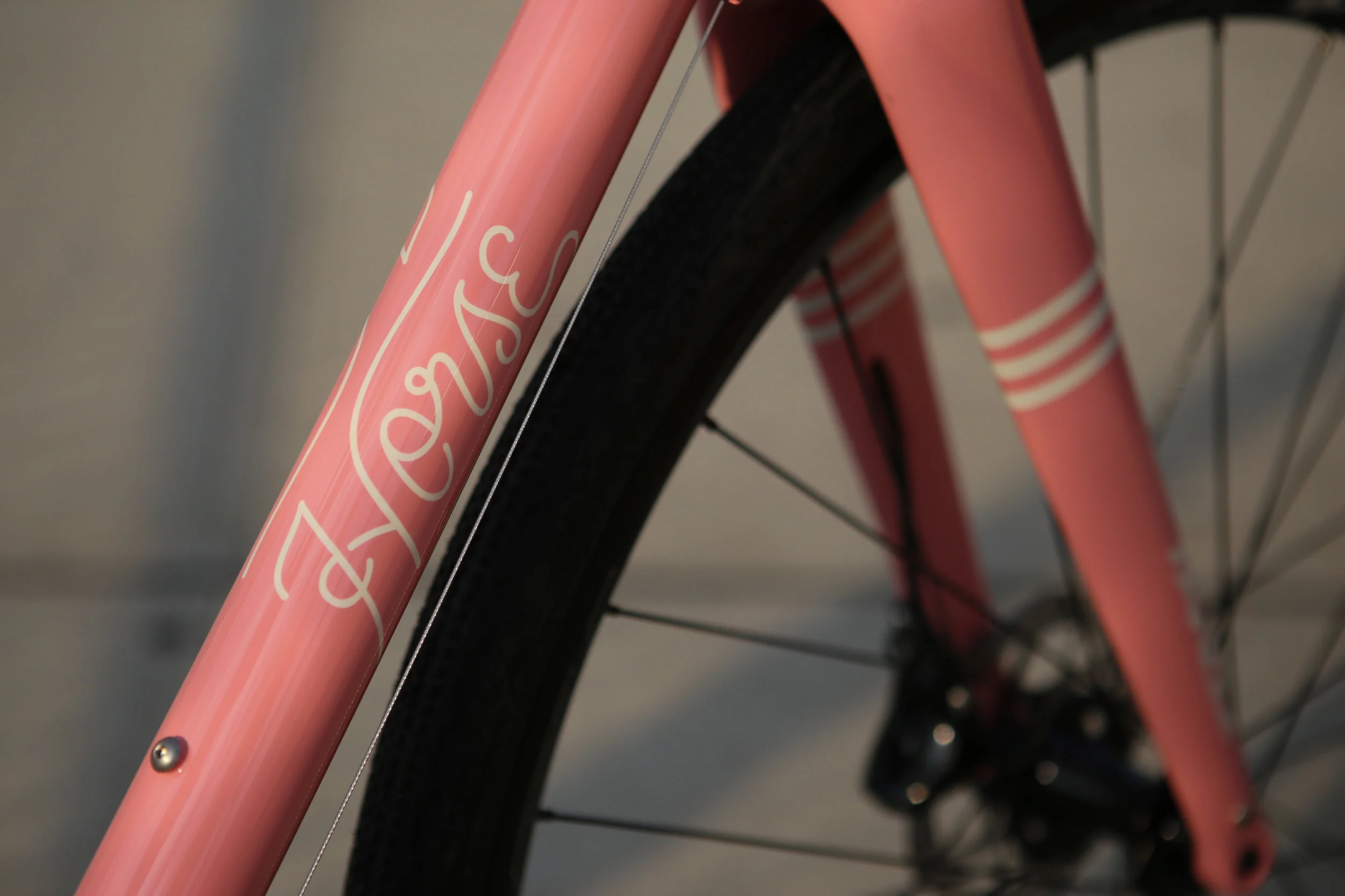 ALL ROAD ELITE PINK PARLEE-30.jpg