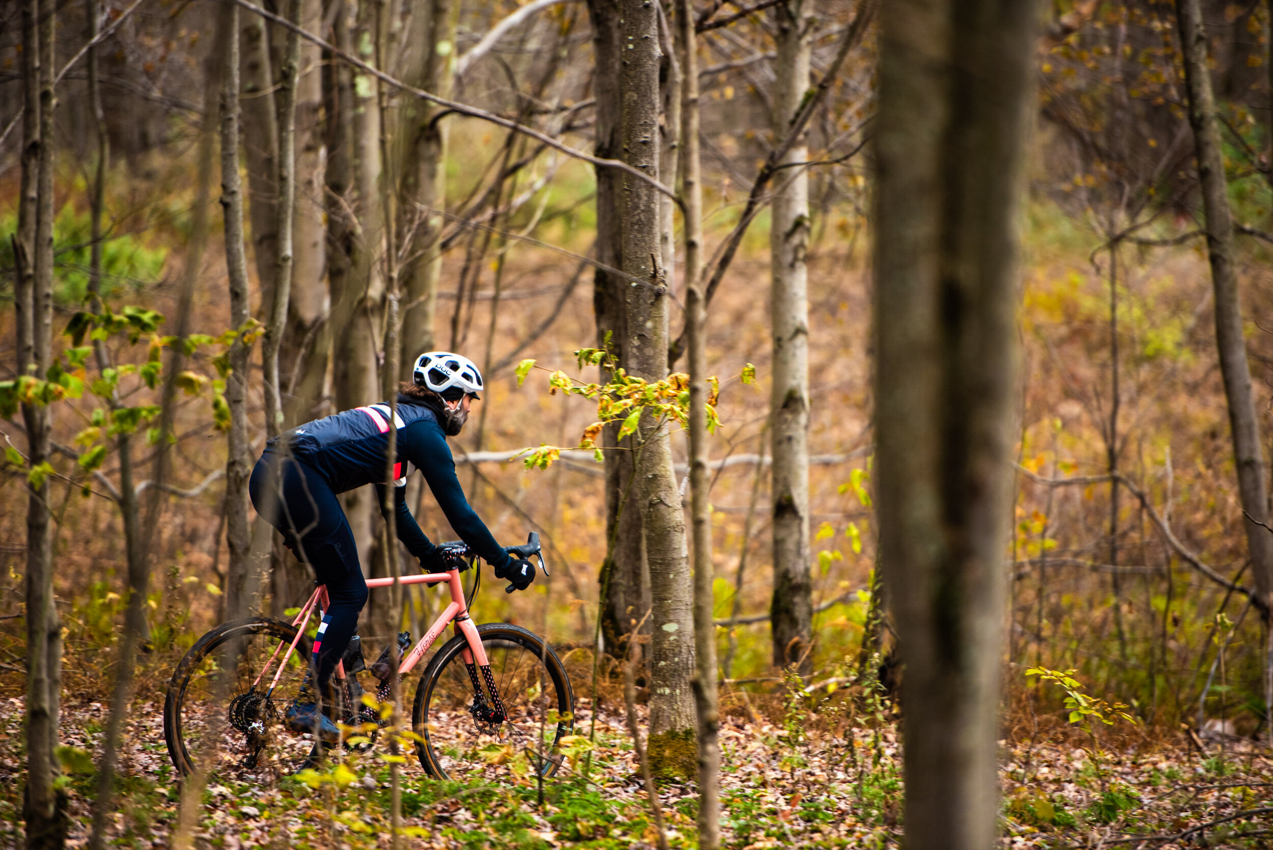 ENVE_181026__IM28513.jpg