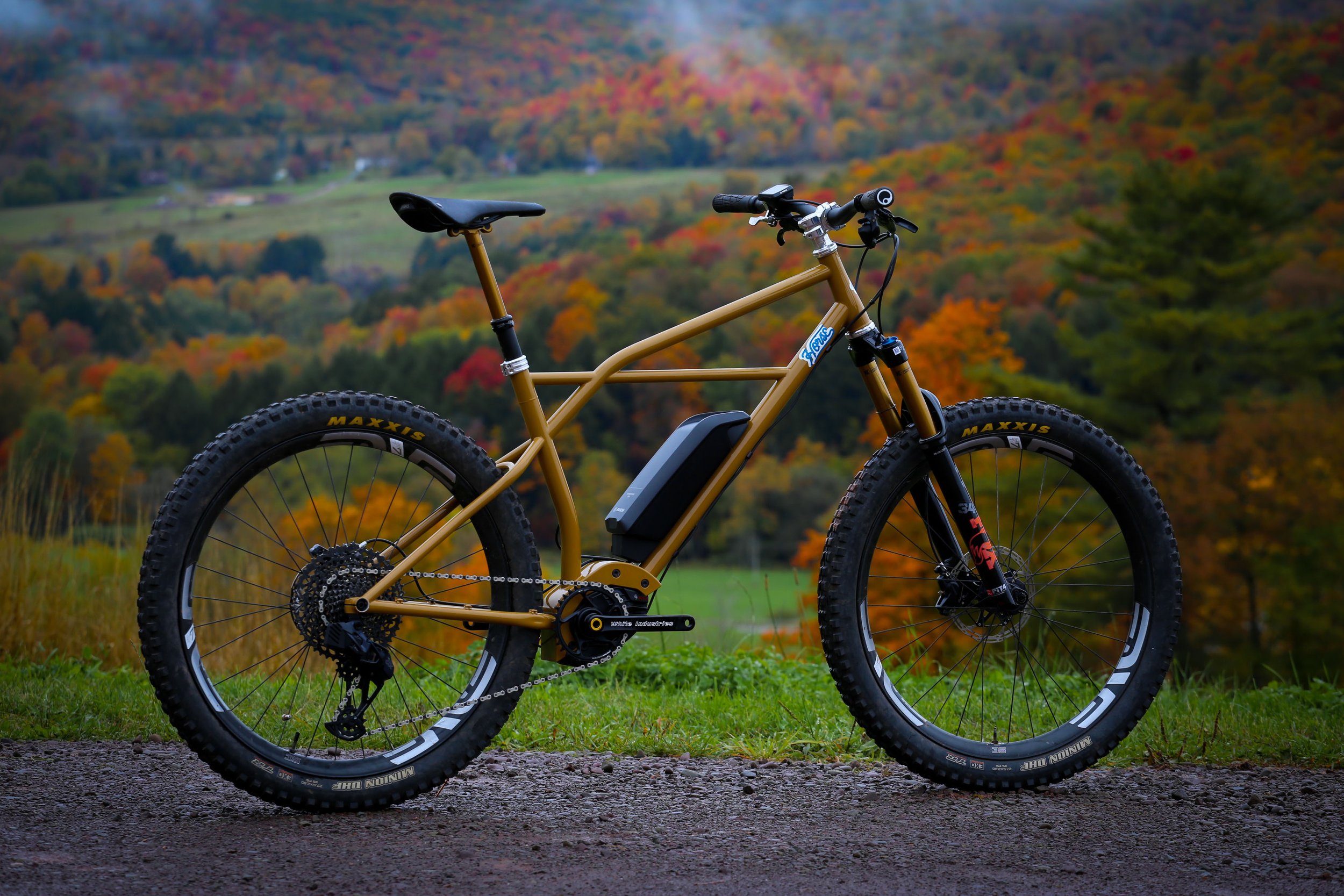 Mountain MOTO Bosch E-bike — horse