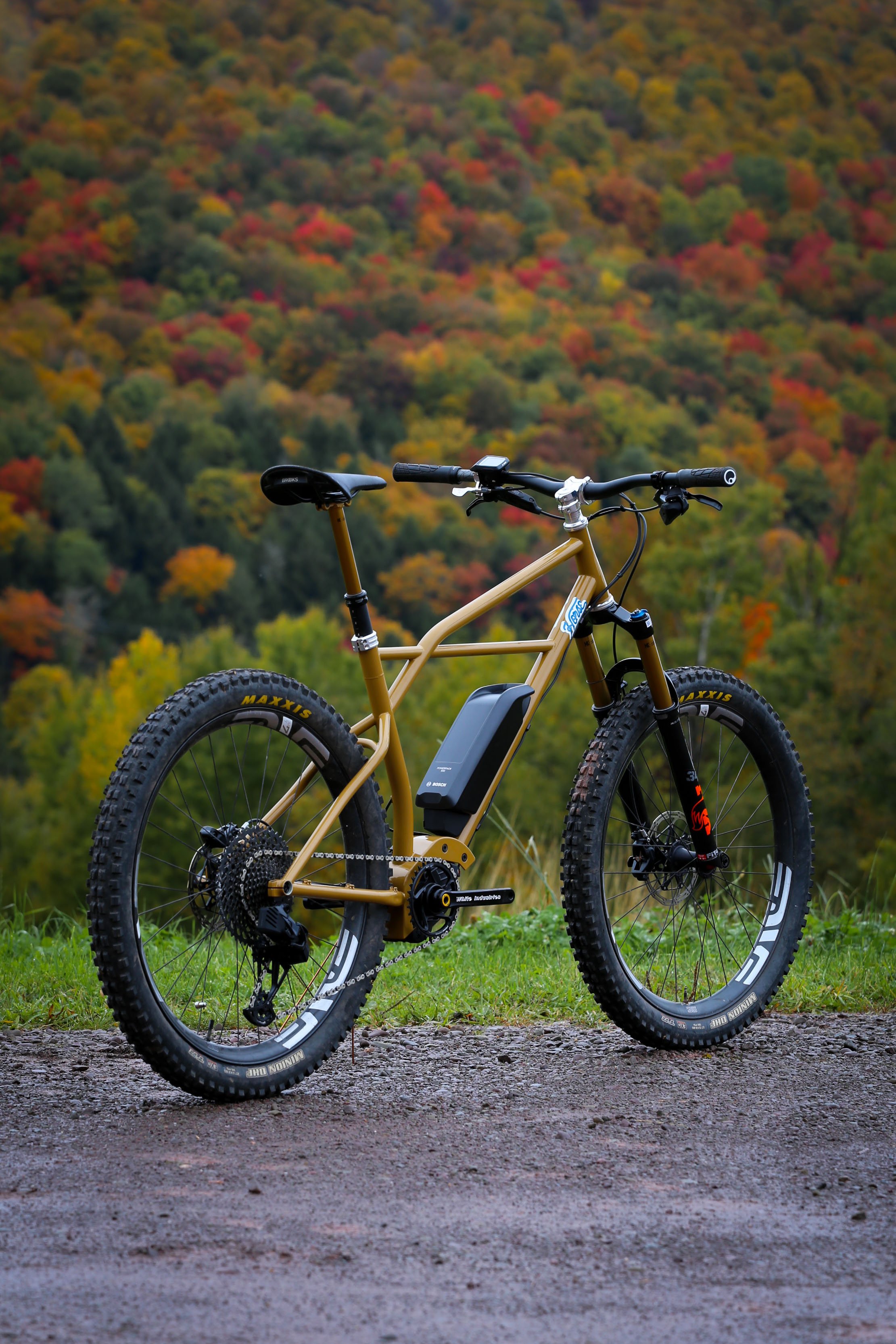 Mountain MOTO Bosch E-bike — horse