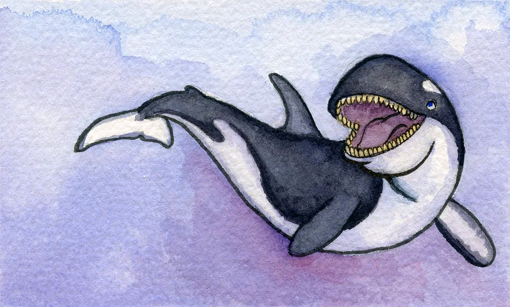 Orca