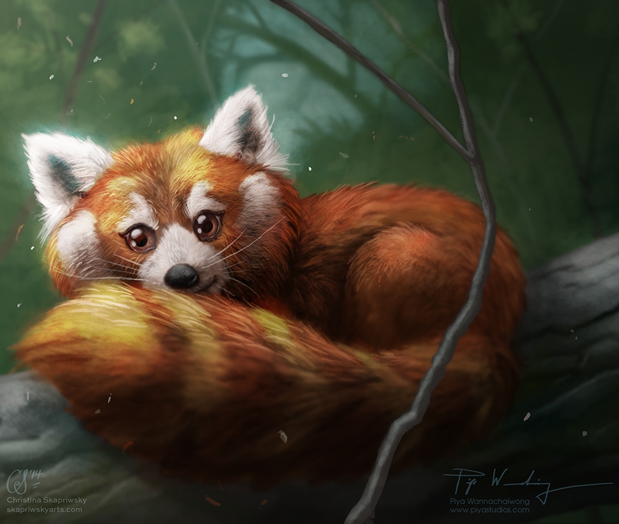 Christina's Red Panda