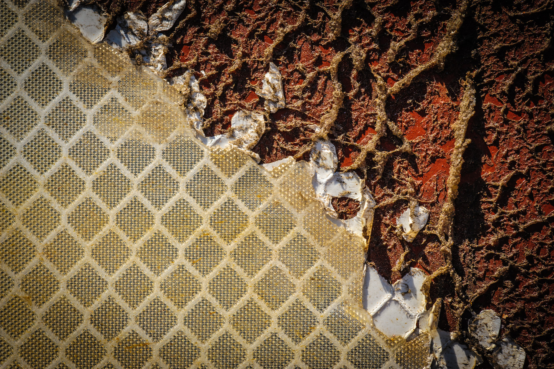 texture-2165.jpg