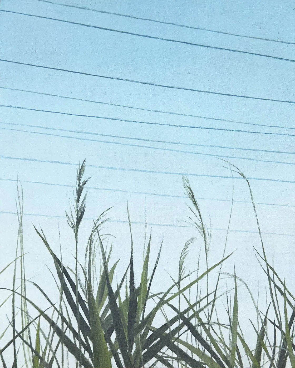  Grasses And Wires  oil - 10” x 8” 