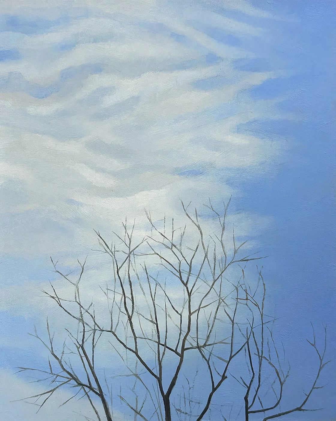  Clouds And Branches  oil - 10” x 8” 