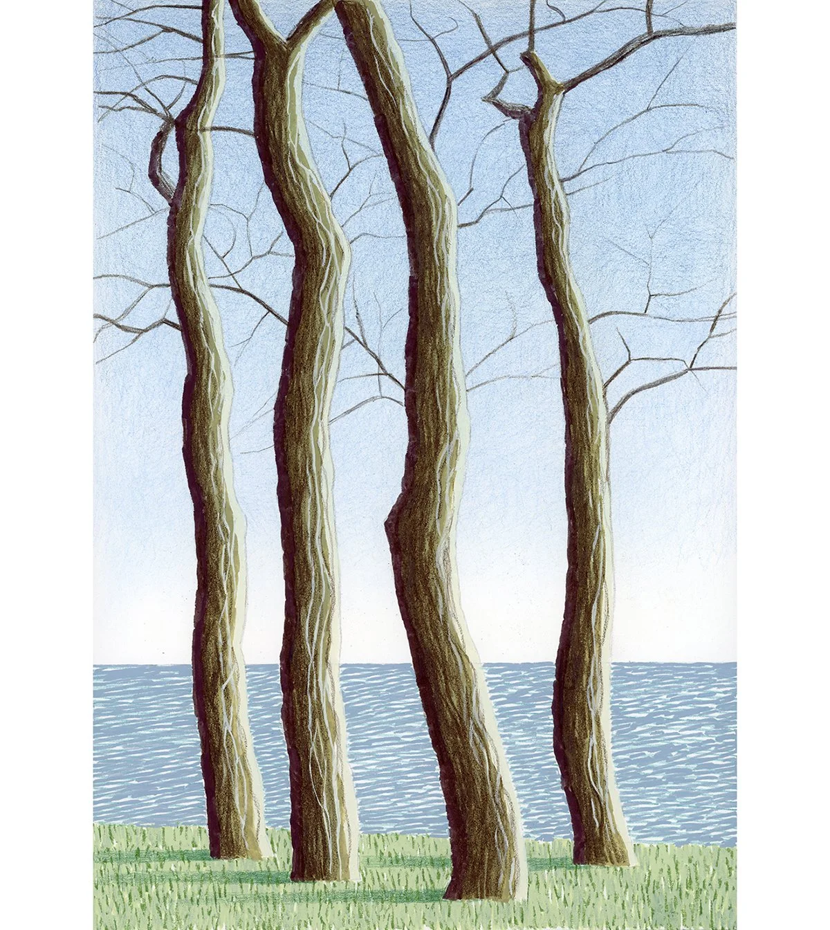  Four Trees - Timber Bluff  gouache, colored pencil  11.5” x 8” 