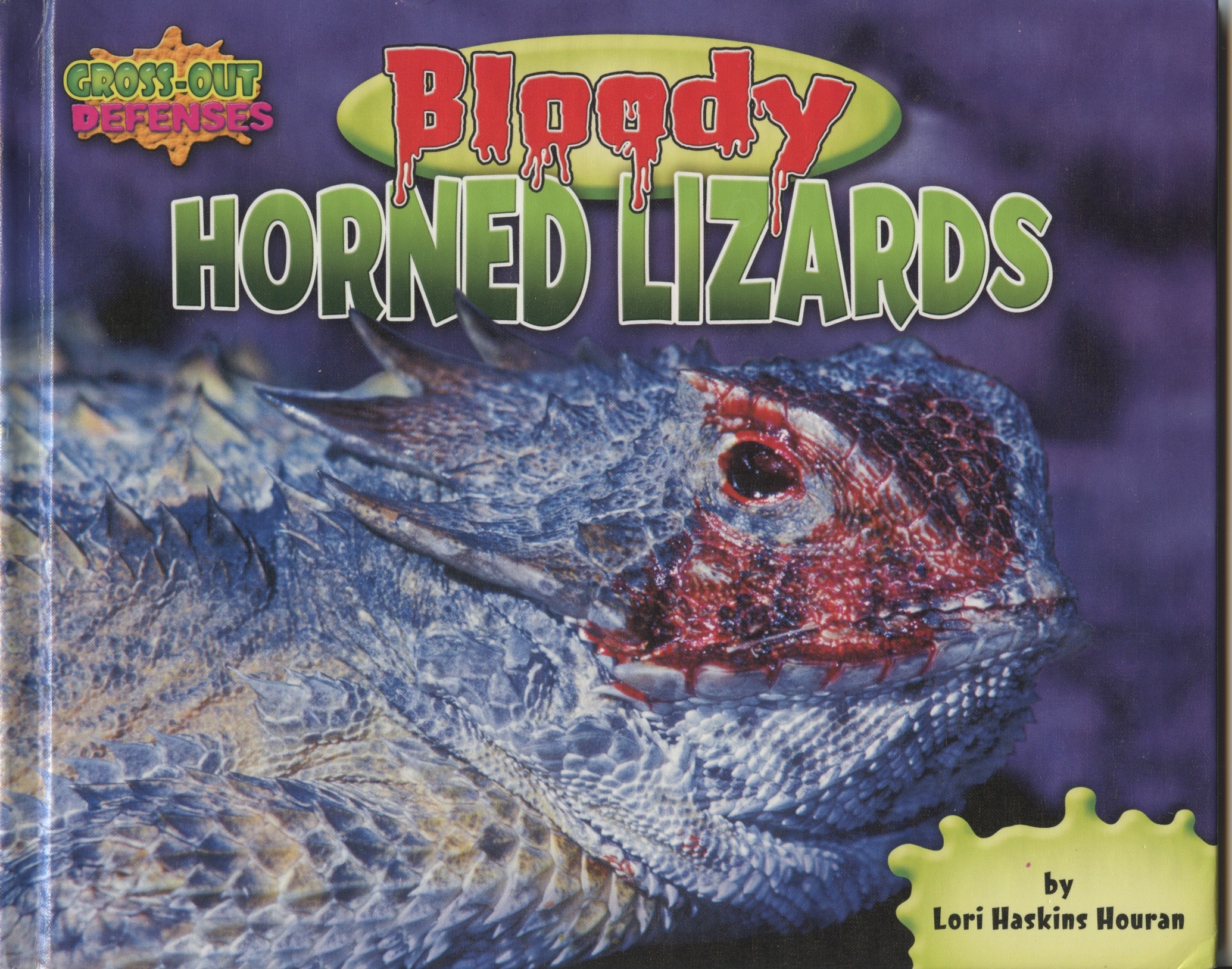 BH Liz cover.jpeg