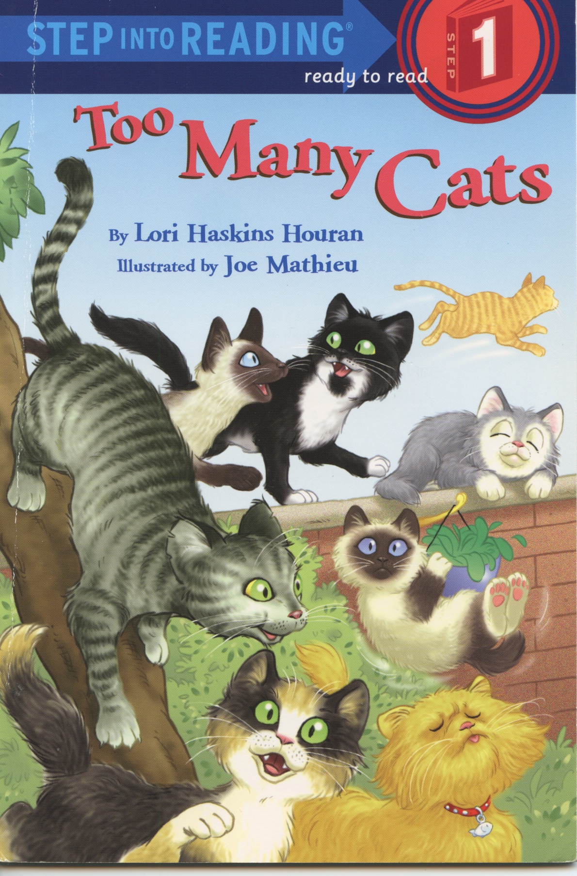 Cats 2 cover.jpeg