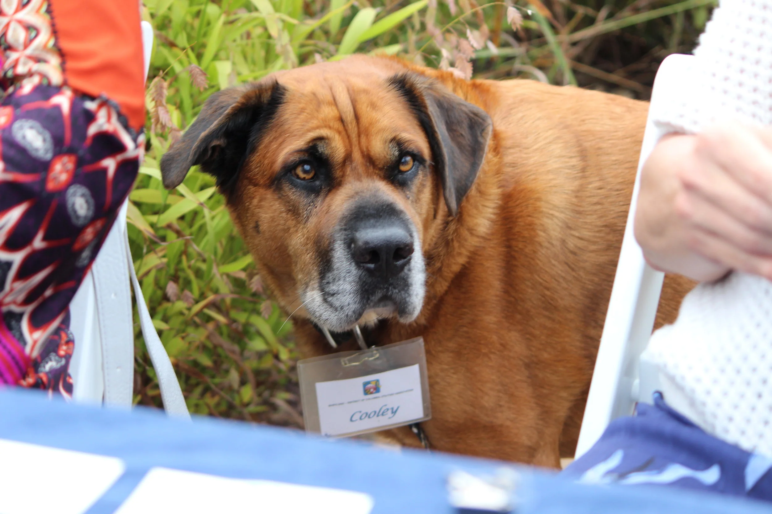 MD DC Utilities Conference 2016 001.JPG