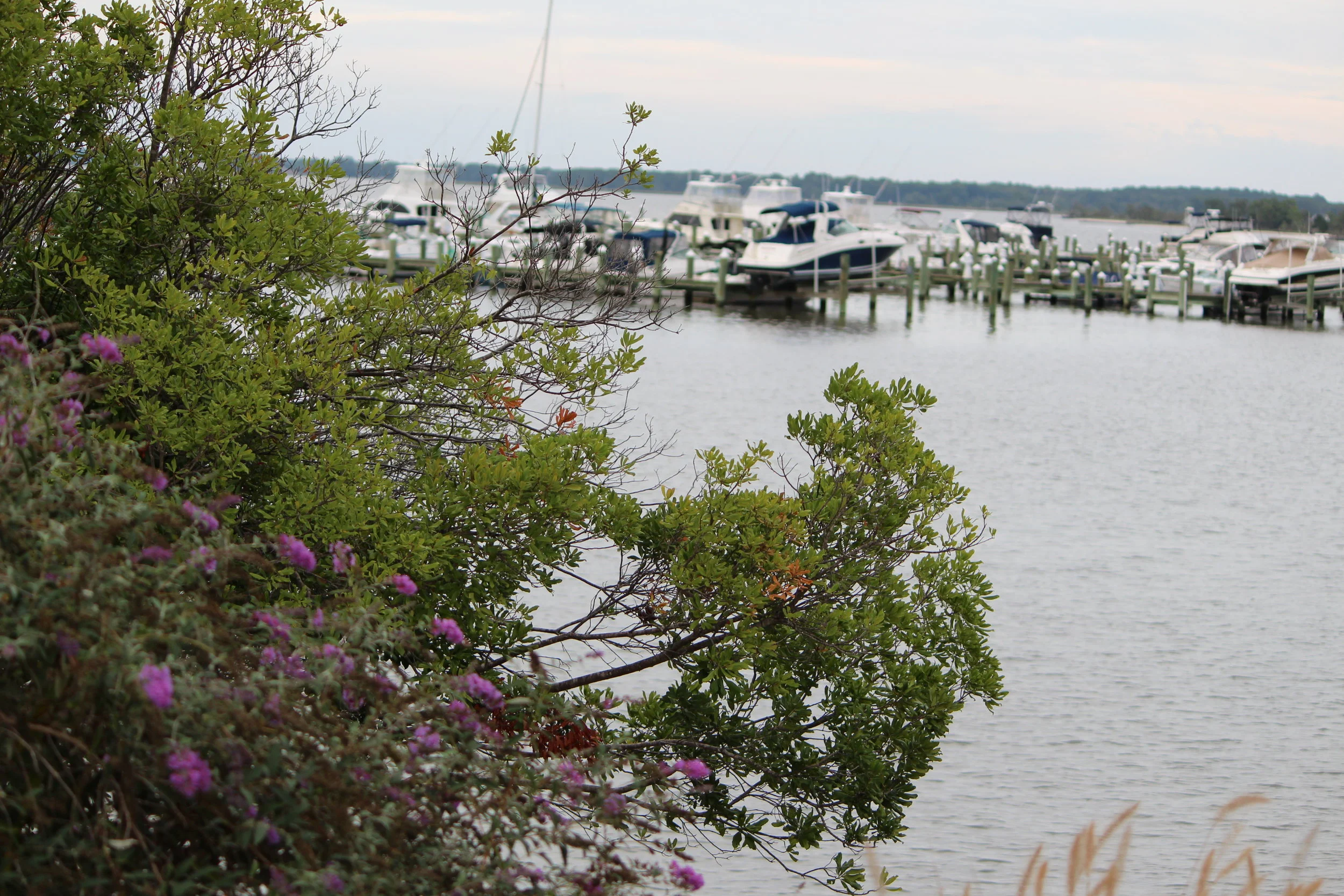 MD DC Utilities Conference 2016 006.JPG