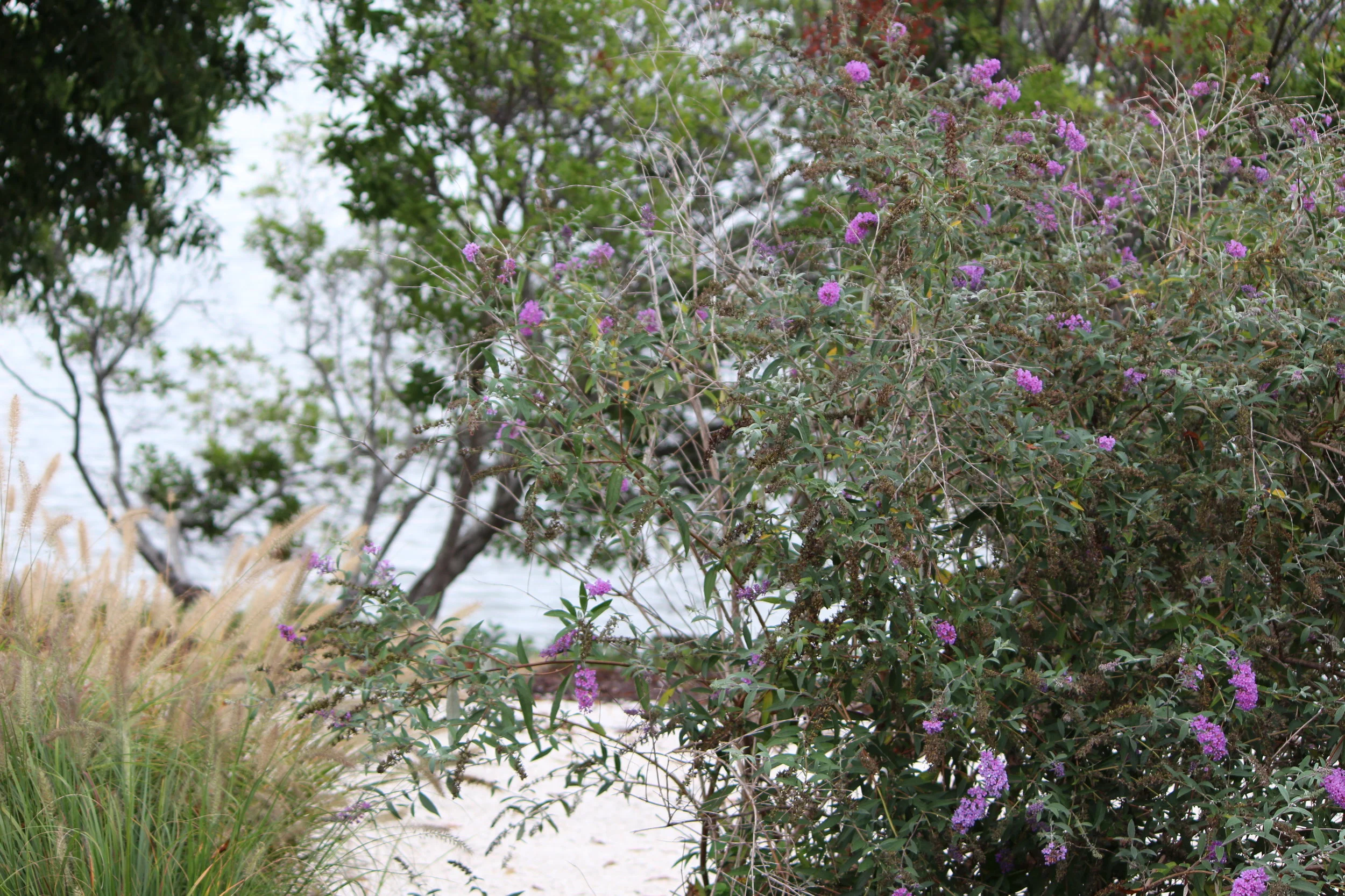 MD DC Utilities Conference 2016 007.JPG