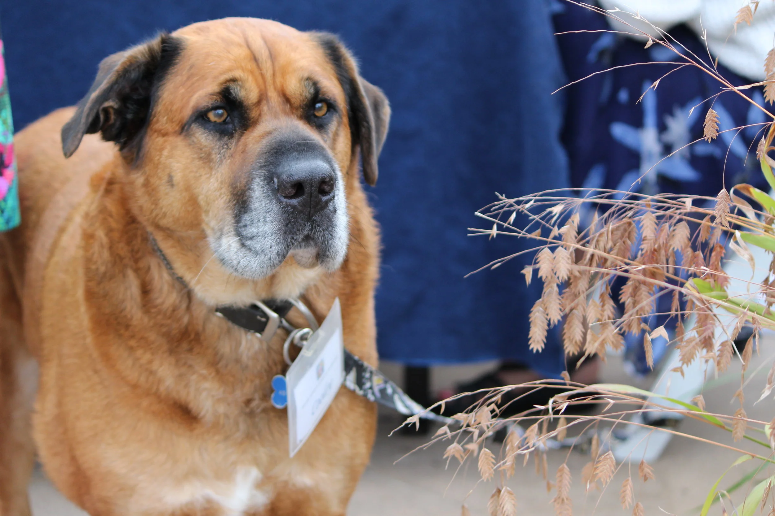 MD DC Utilities Conference 2016 015.JPG