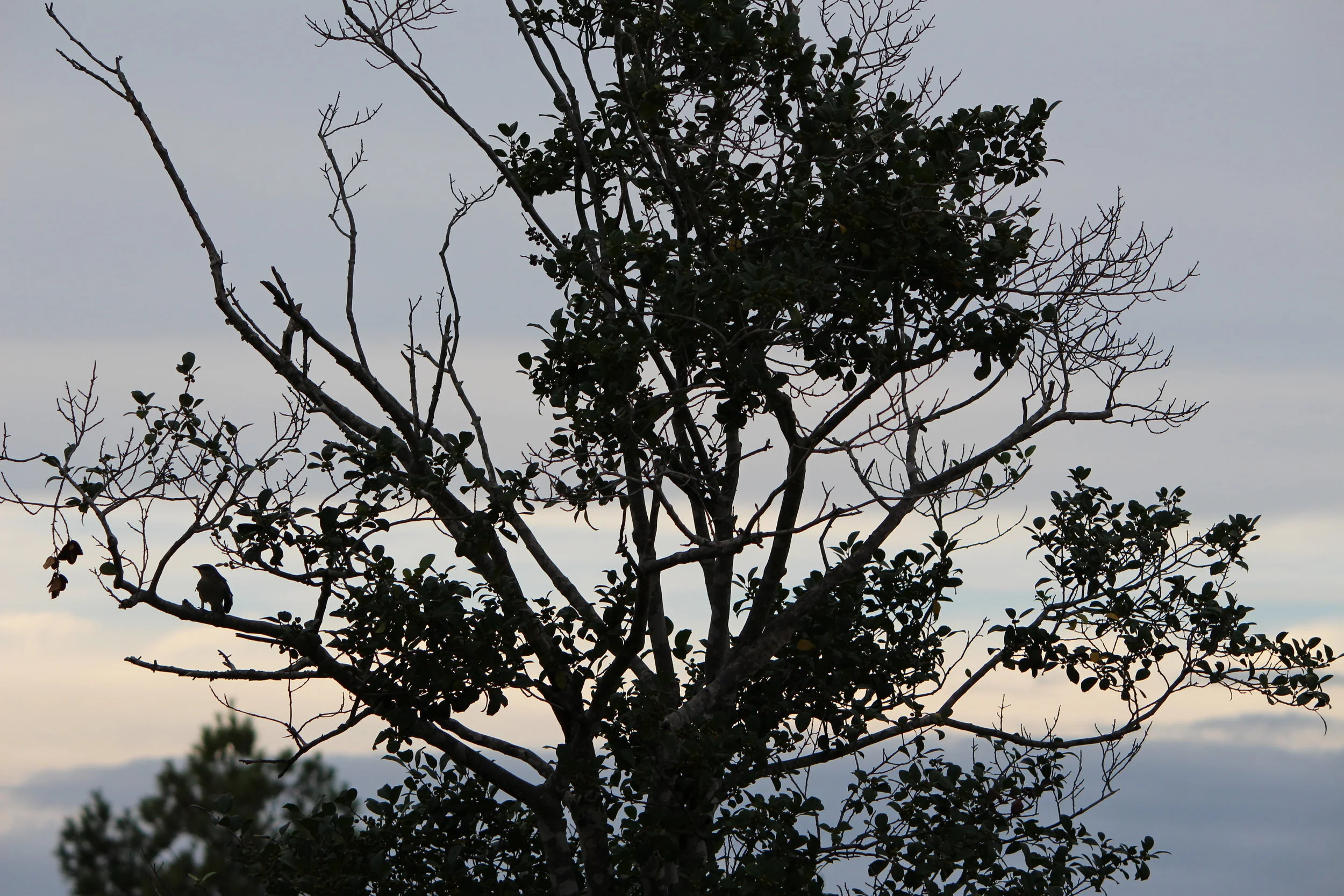 MD DC Utilities Conference 2016 021.JPG