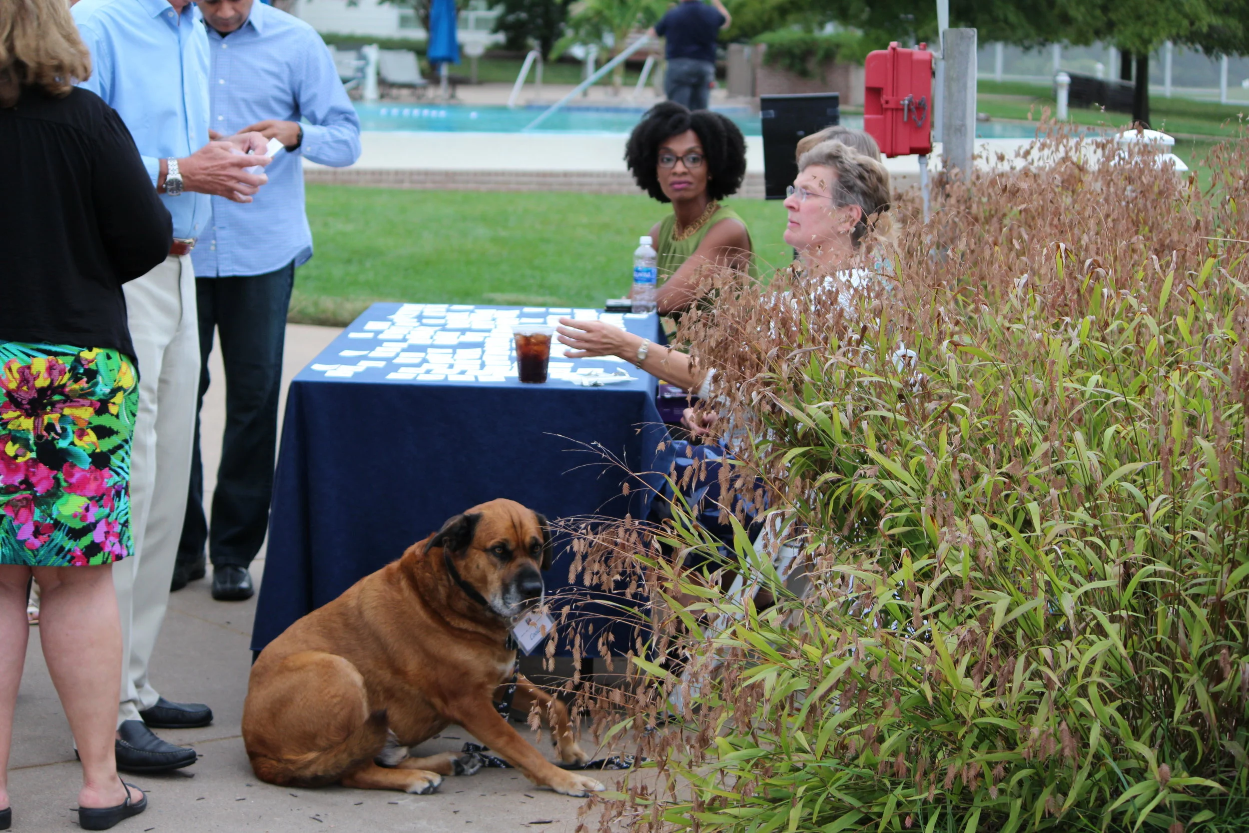 MD DC Utilities Conference 2016 042.JPG