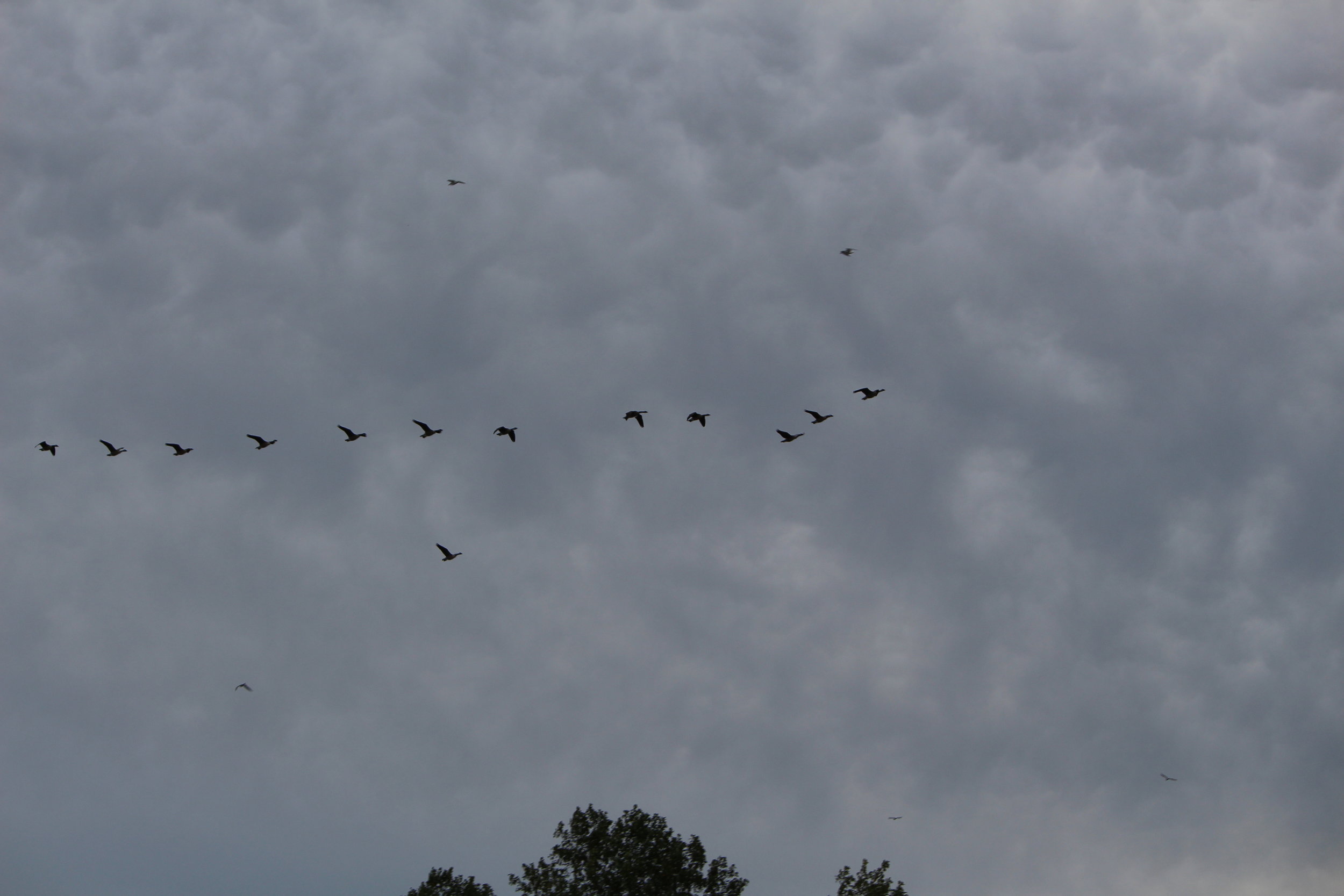 MD DC Utilities Conference 2016 043.JPG