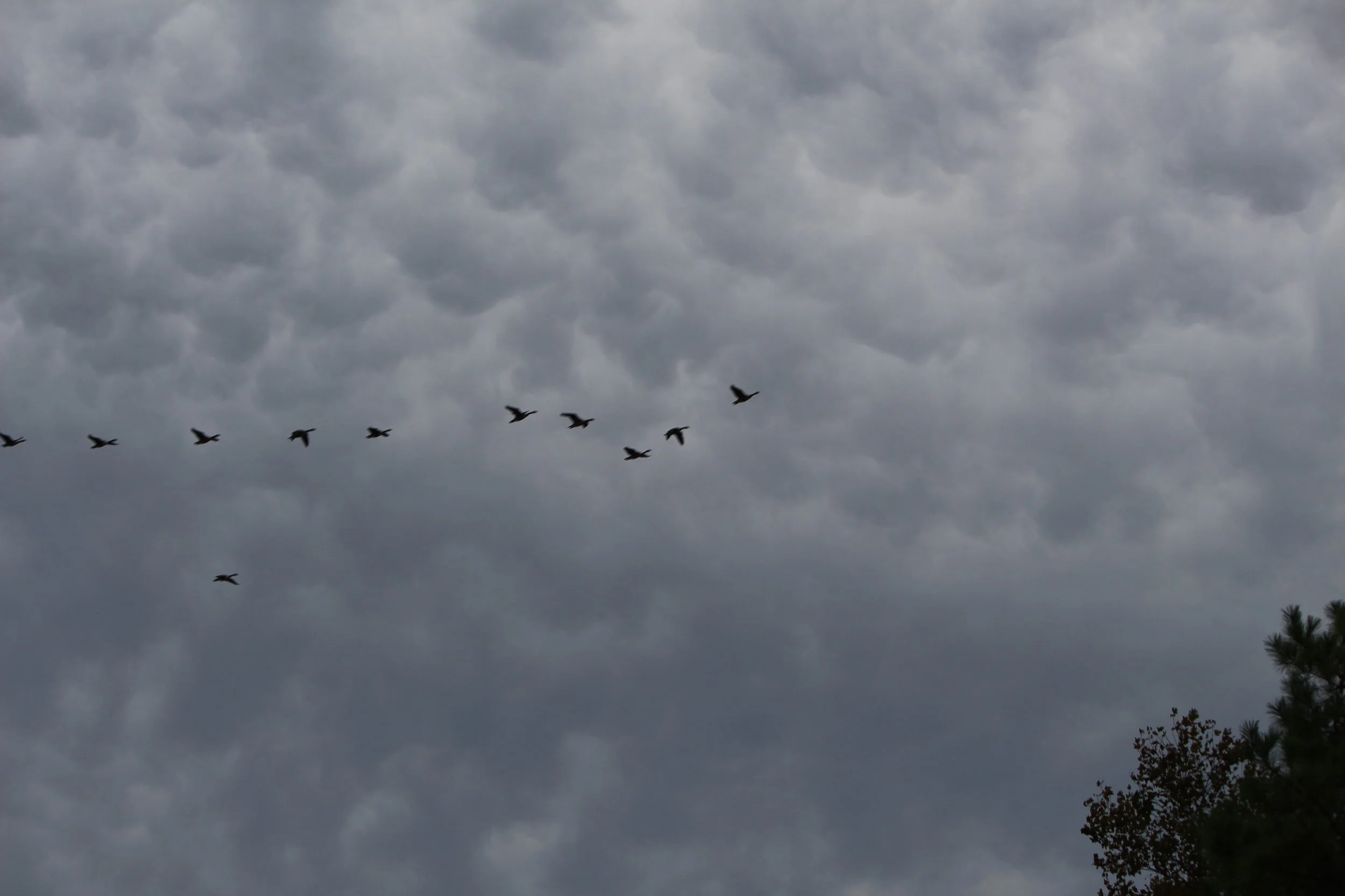 MD DC Utilities Conference 2016 044.JPG